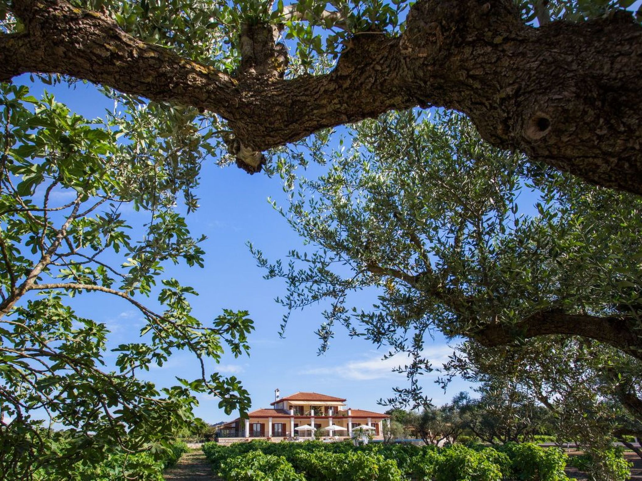 Fantastische Villa Anastasia mit großem Pool-Image-tags.info