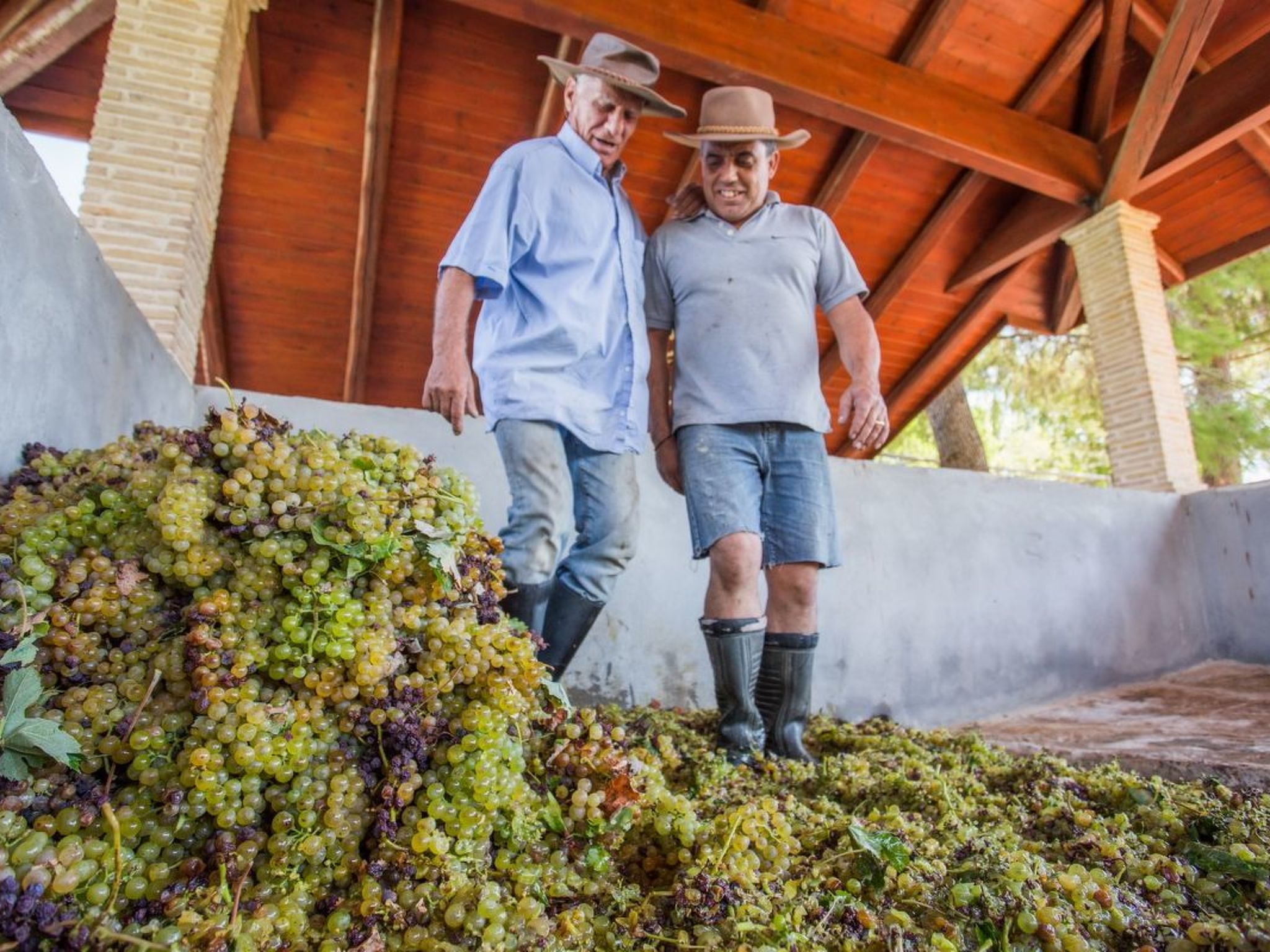 Fantastische Villa Anastasia mit großem Pool-Image-tags.info