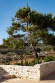 Anima Villa: Modern Grieks genot met privézwembad vlak bij zee in Zakynthos - thumbnail 3