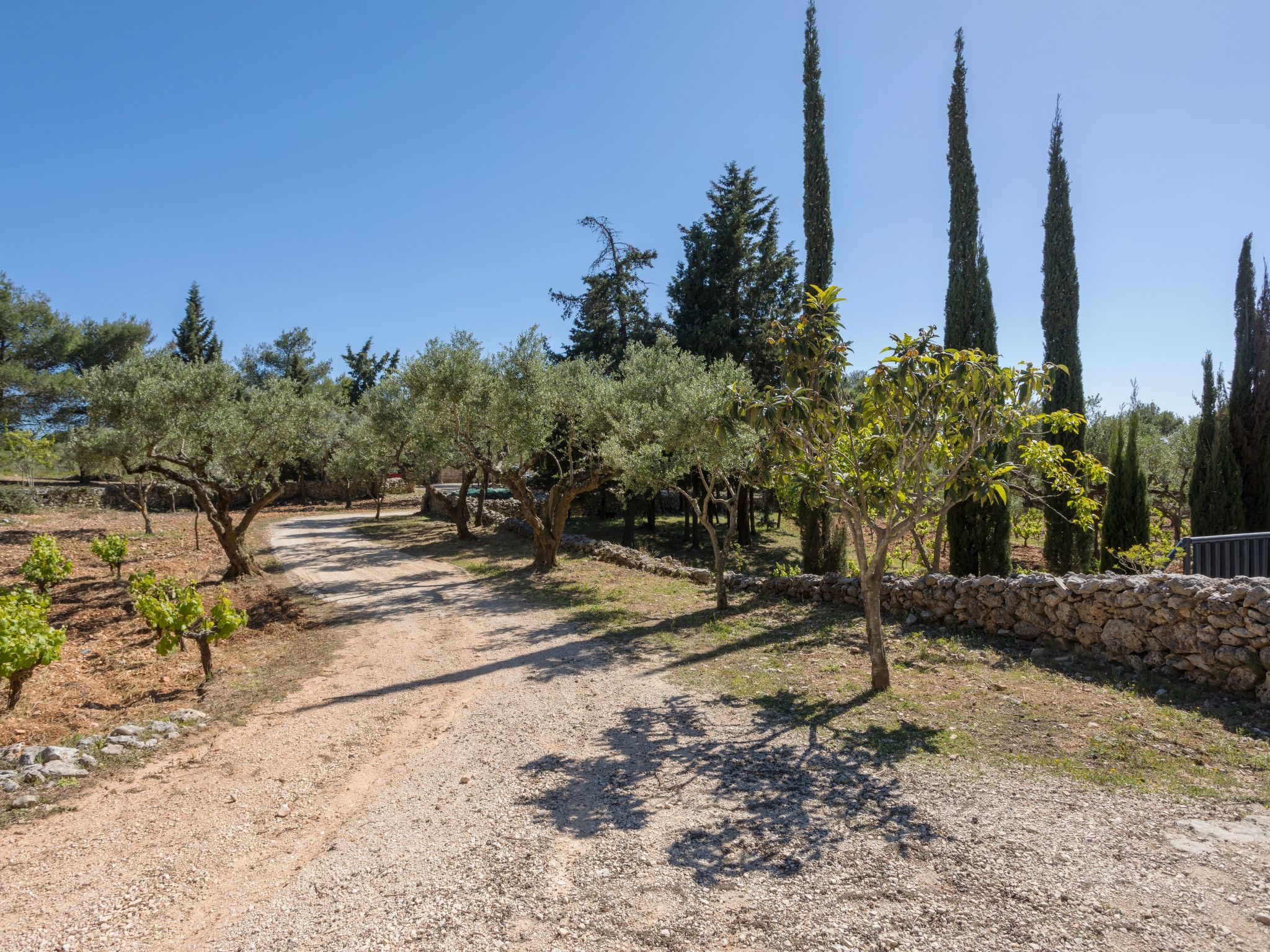 Villa Nefeli mit privatem Pool-Binnen