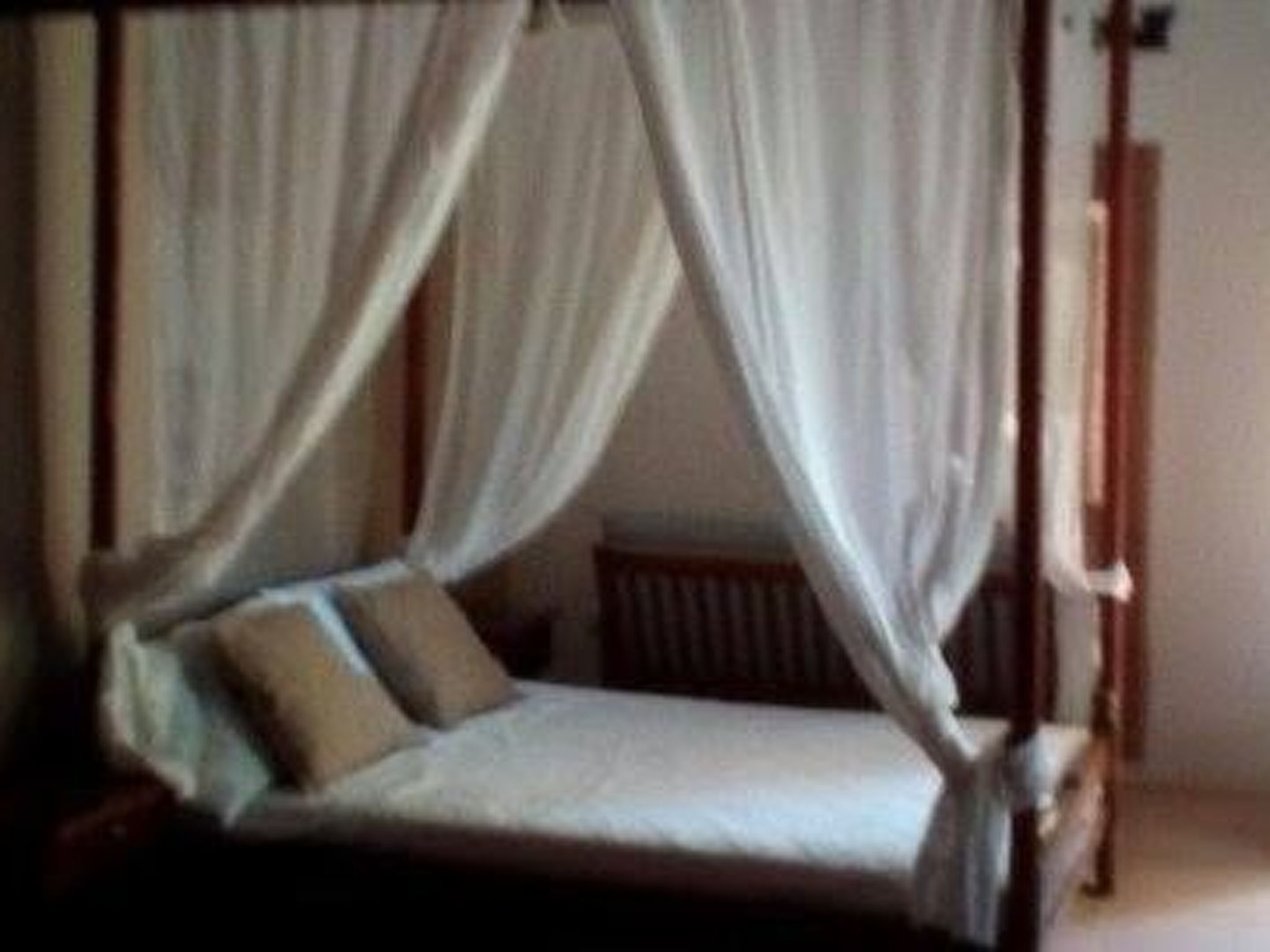 Spiti Limnos, idyllisch gelegen im Orangenhain-Binnen