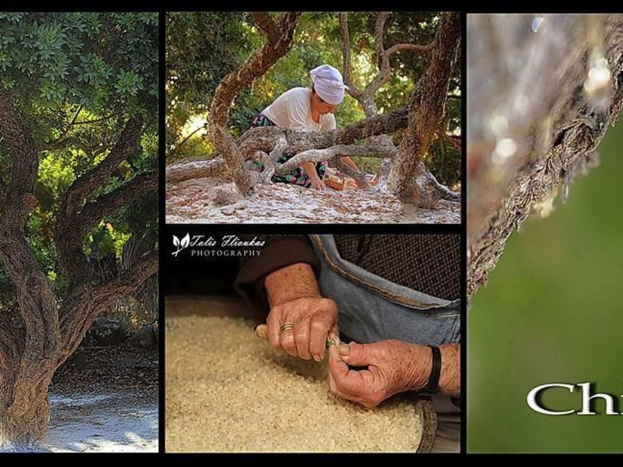 Charmante Villa mit Meerblick - 300m. vom Strand entfernt-Binnen