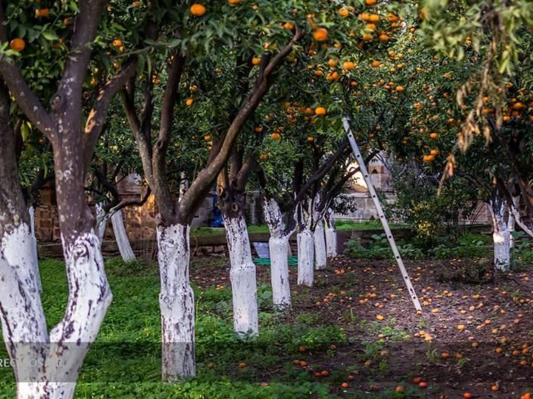 Charmante Villa mit Meerblick - 300m. vom Strand entfernt-Binnen