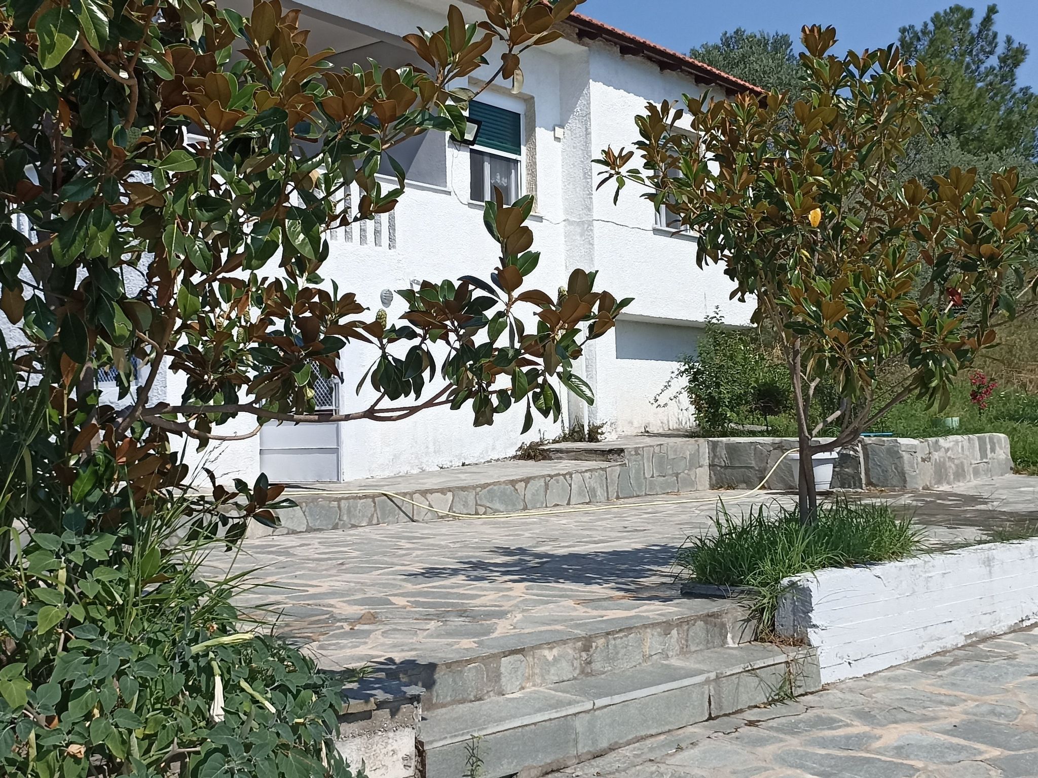 "Villa siesta" in Strandnähe-Image-tags.info