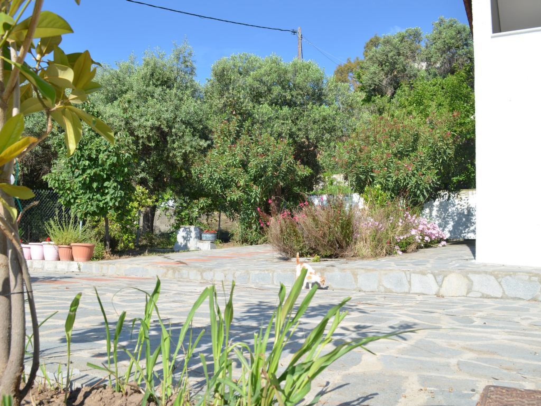 "Villa siesta" in Strandnähe-Buiten