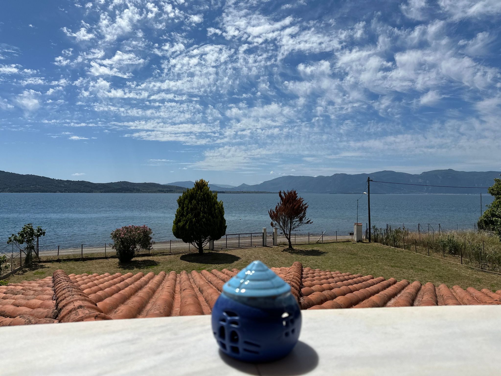 Tanjas Paradise-Inside