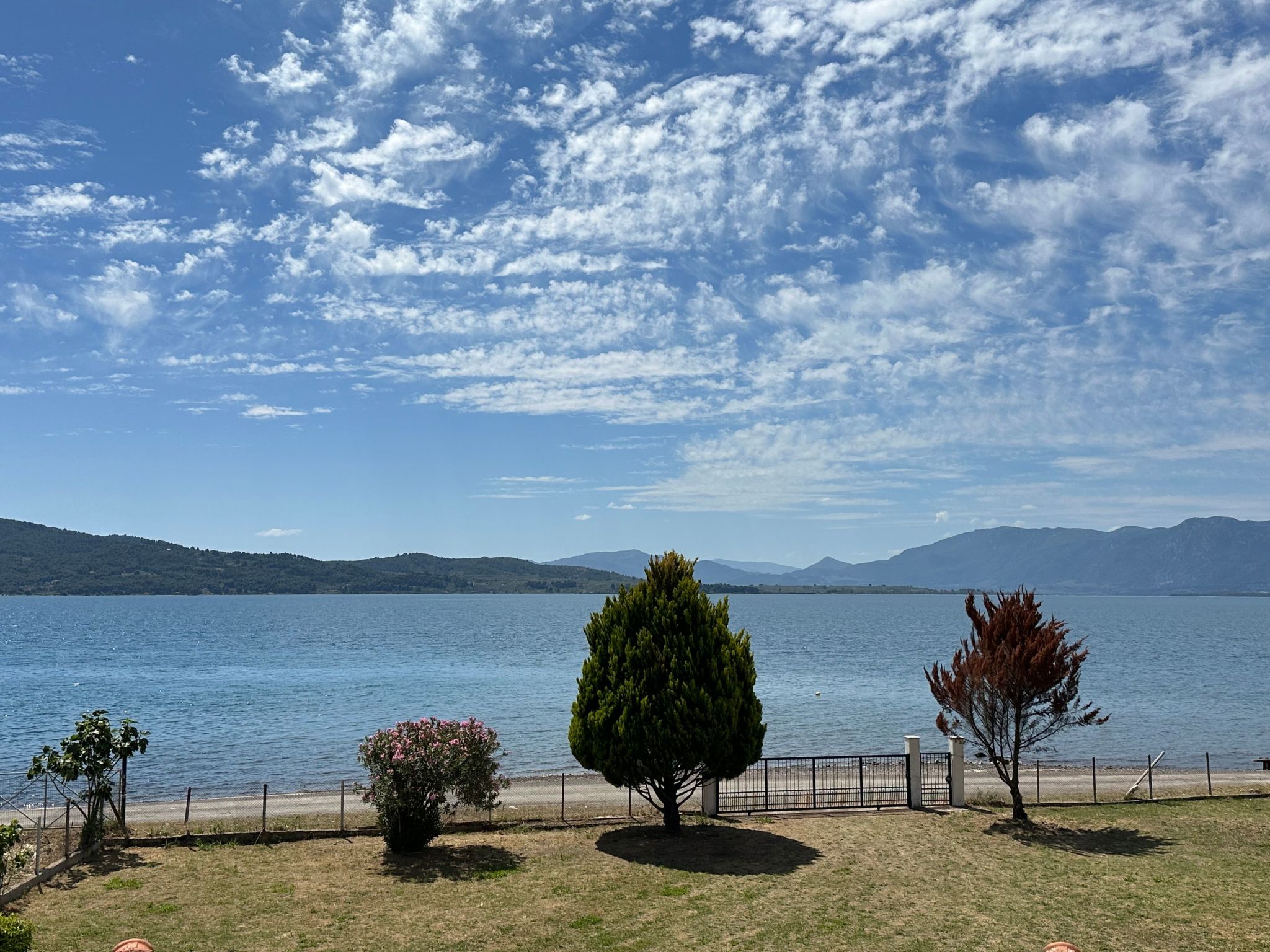 Tanjas Paradise-Inside