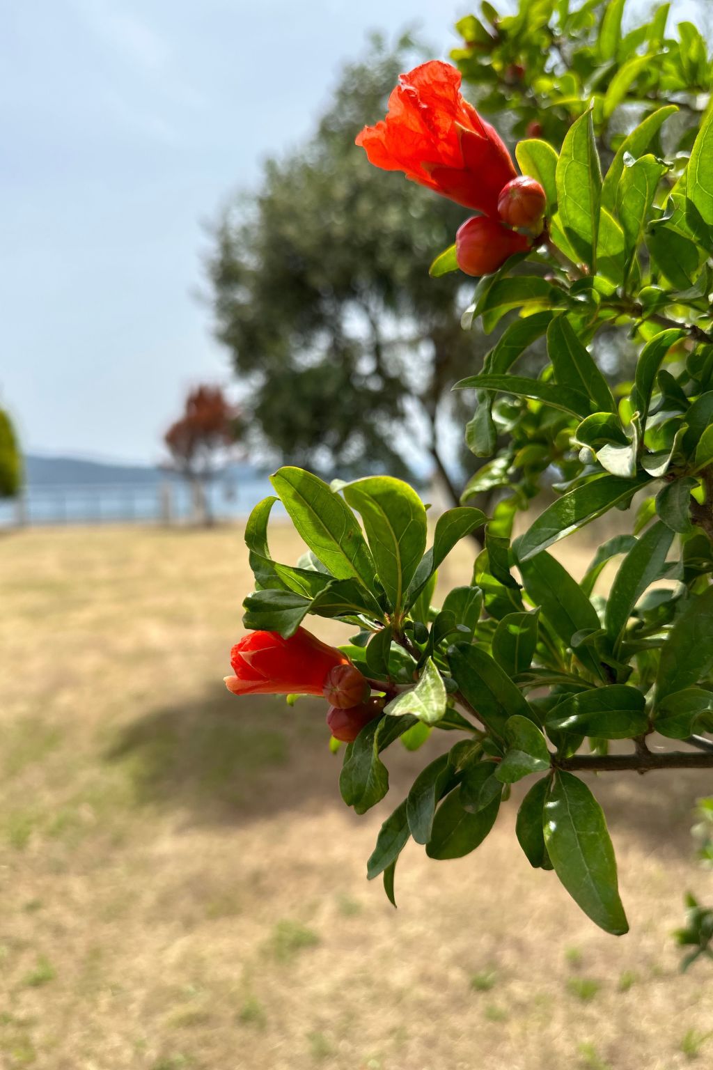 Tanjas Paradise-Inside