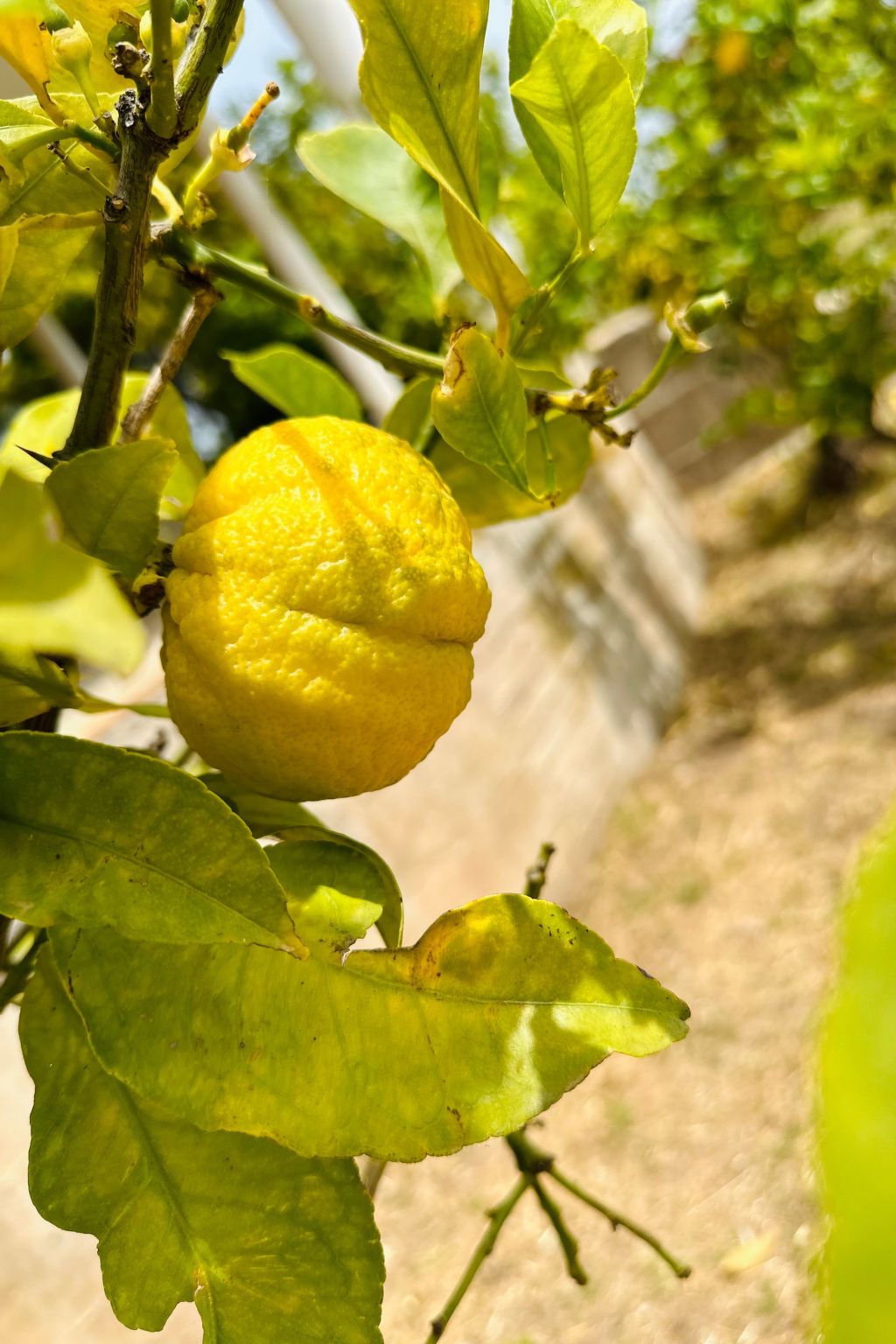 Tanjas Paradise-Inside