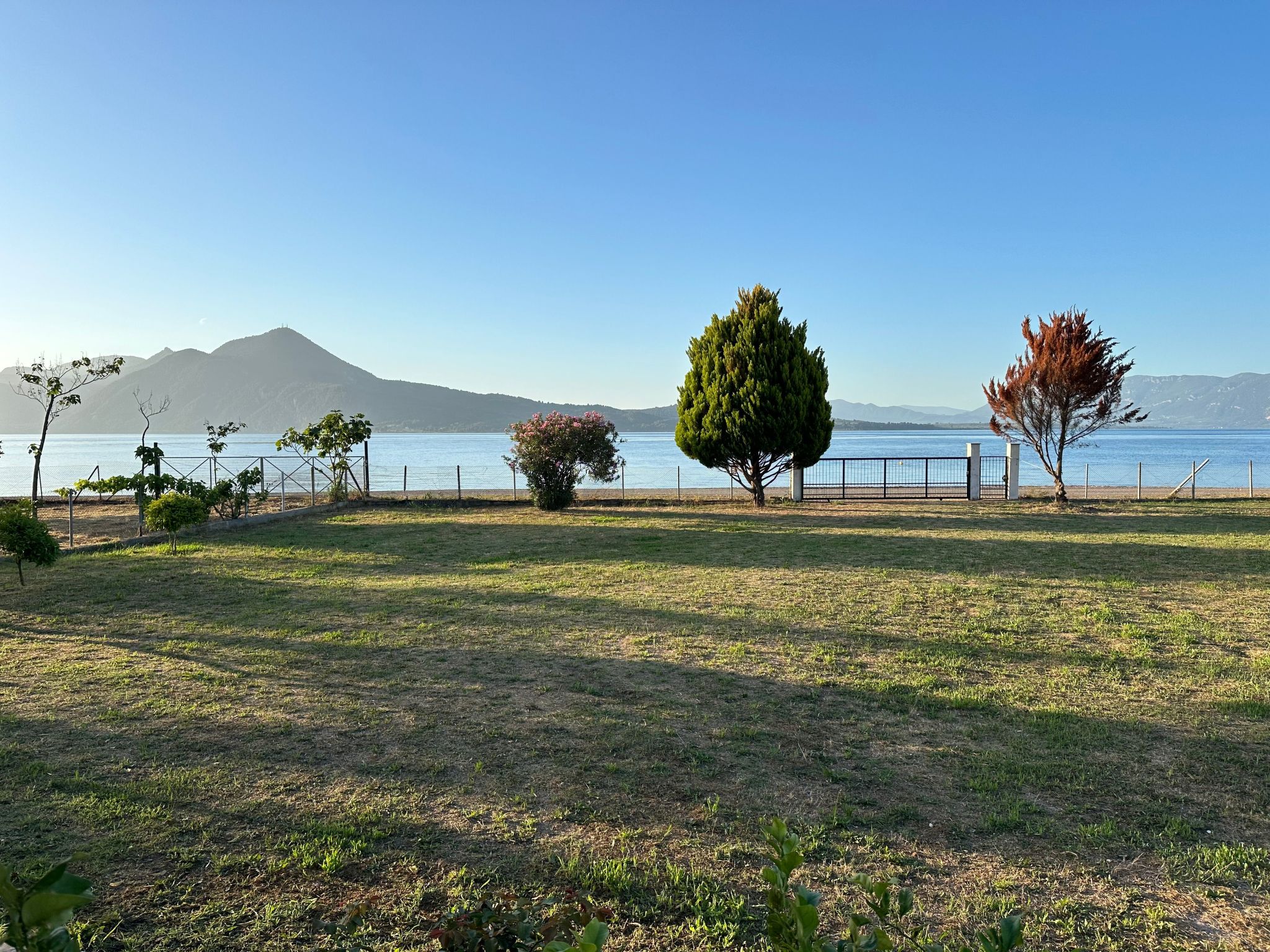 Tanjas Paradise-Inside