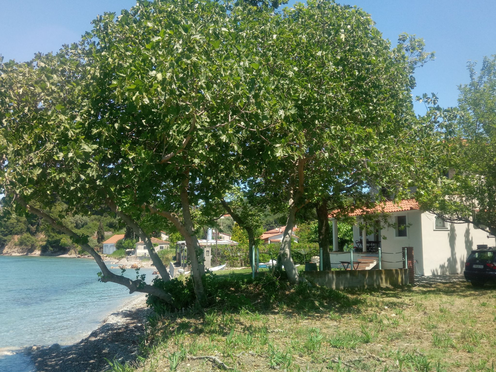 Simos in Paleokastro-Binnen