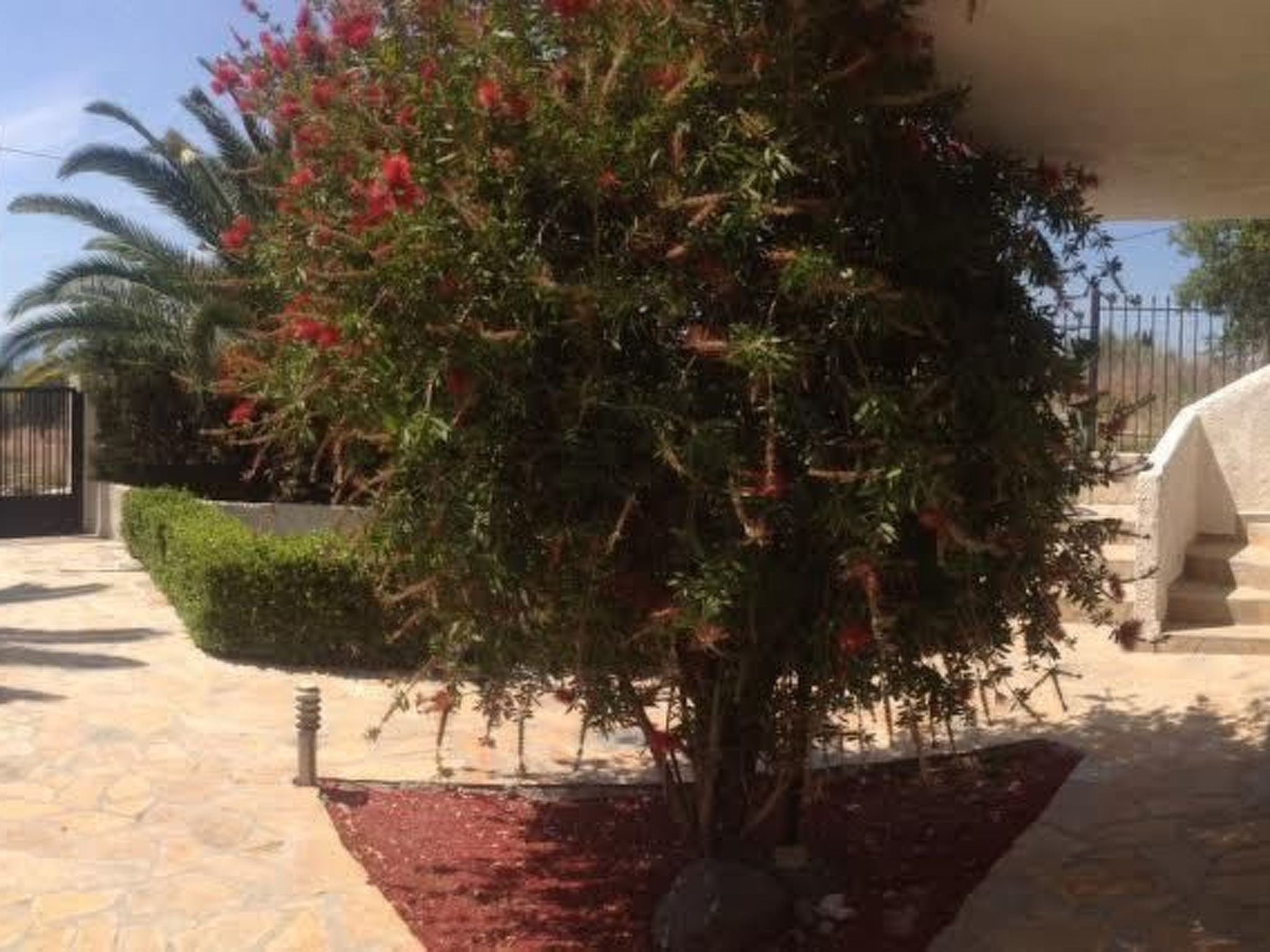 Studio mit Garten-Drinnen