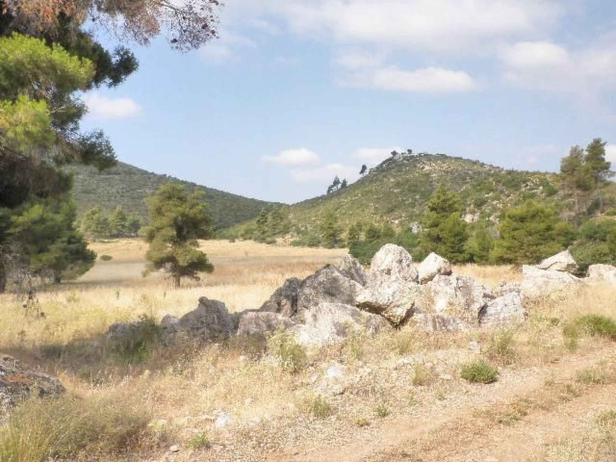 Studio mit Garten-Drinnen