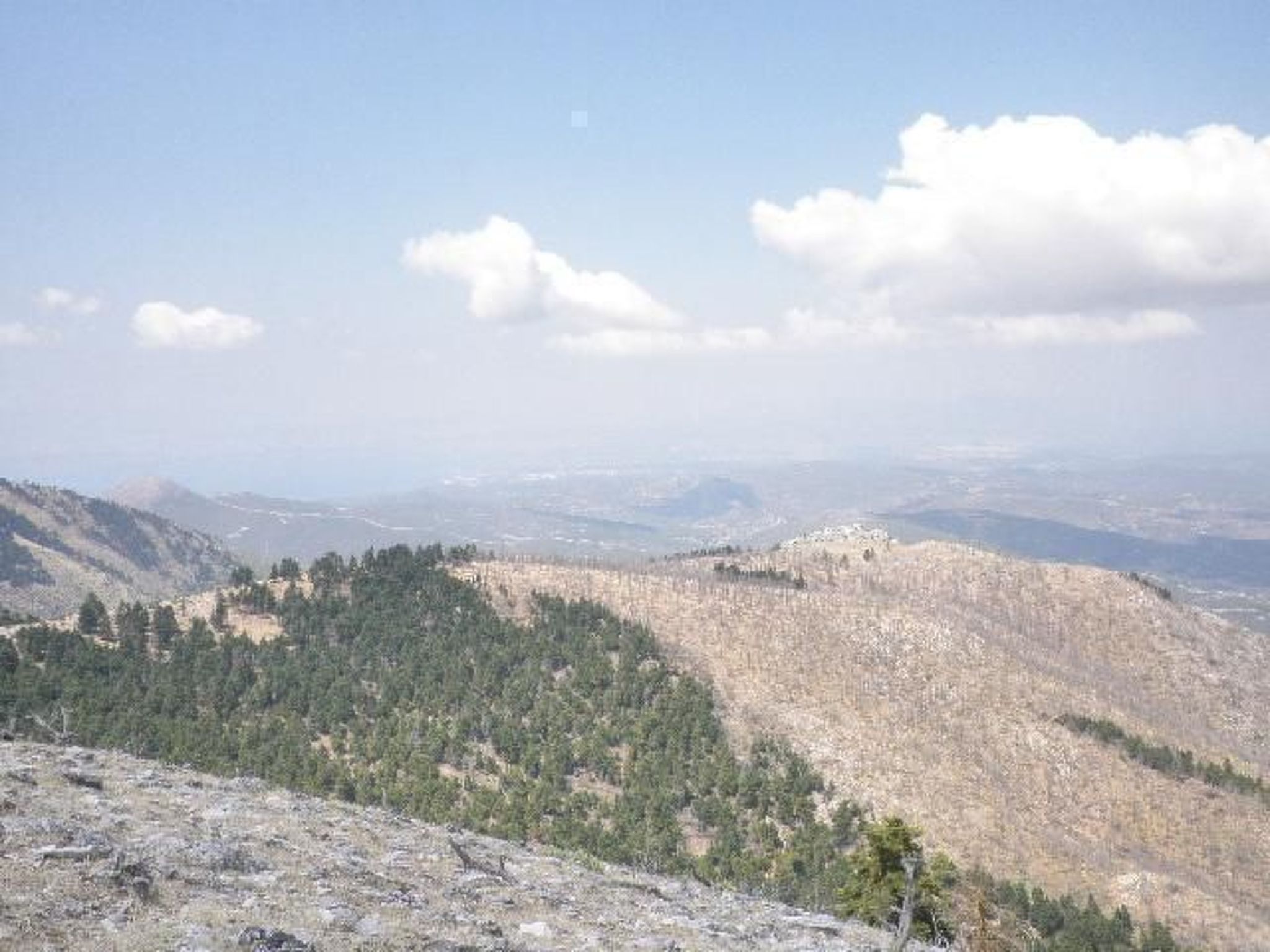 Studio mit Garten-Drinnen