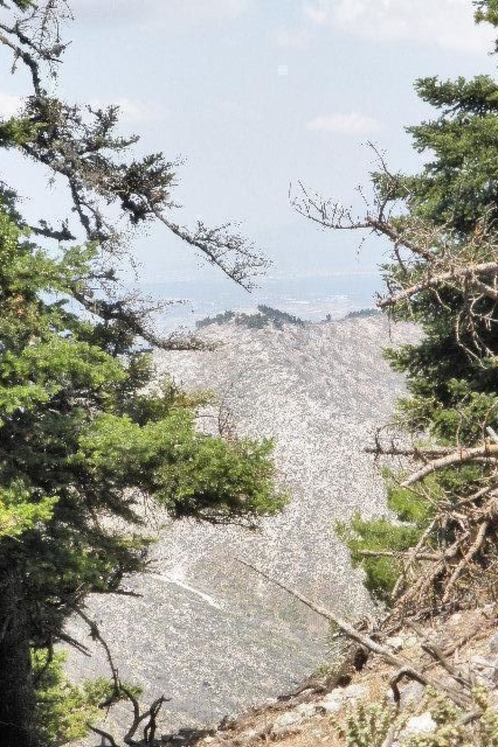 Studio mit Garten-Drinnen