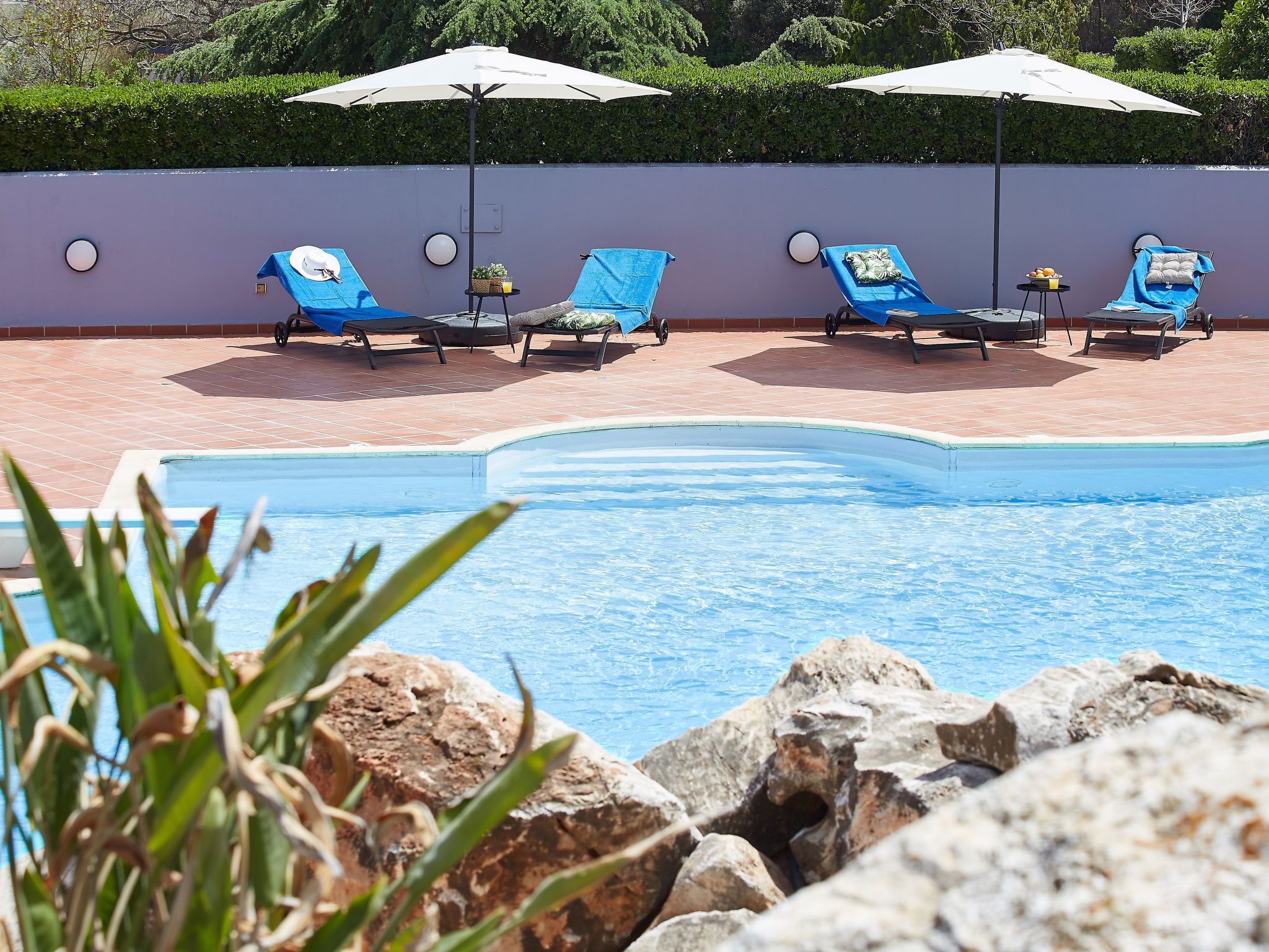 Villa Dennis-Image-tags.info