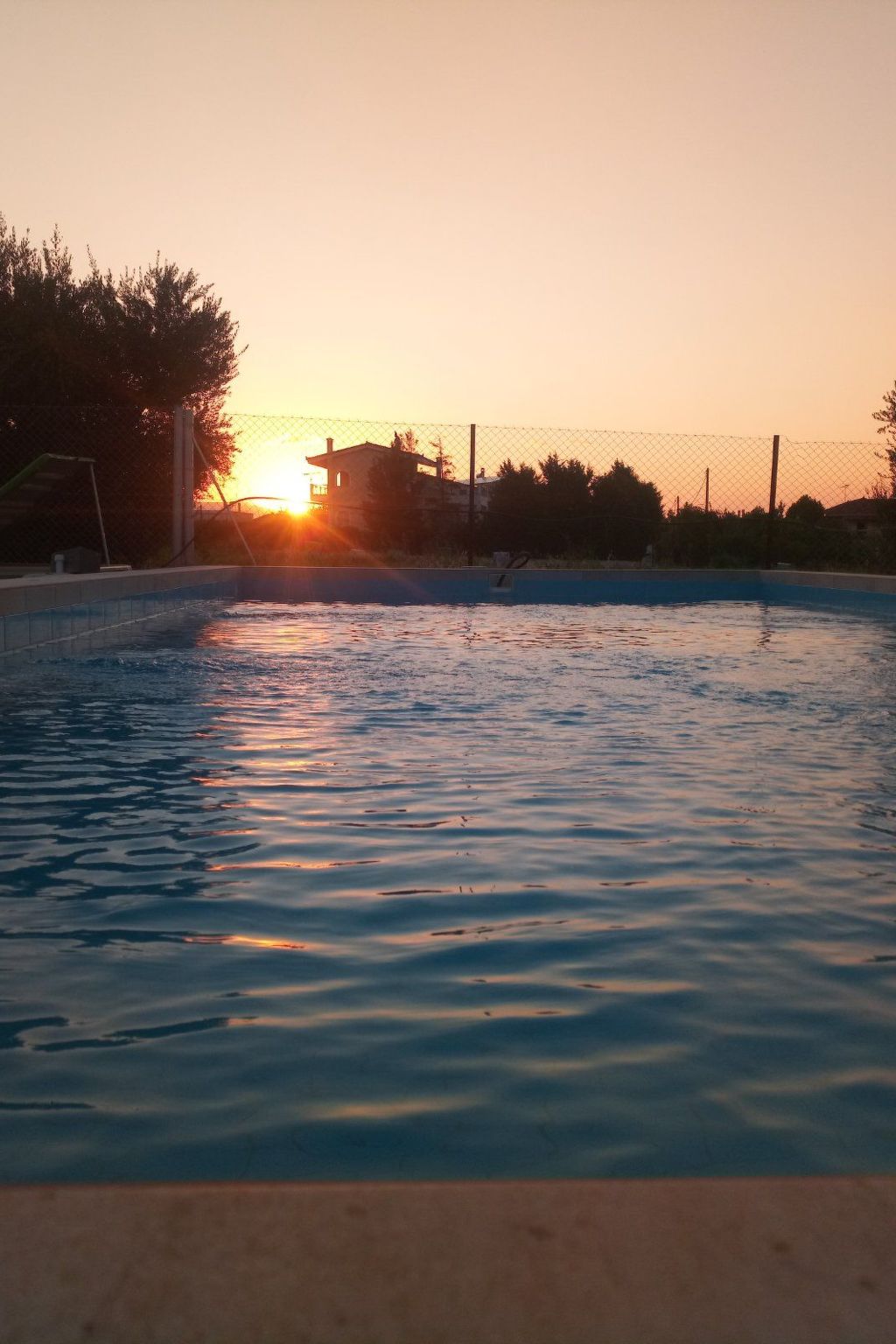 Neben Orangenbaum-Obstgarten-Binnen