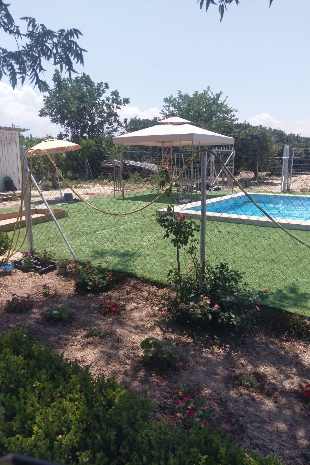 Neben Orangenbaum-Obstgarten-Binnen