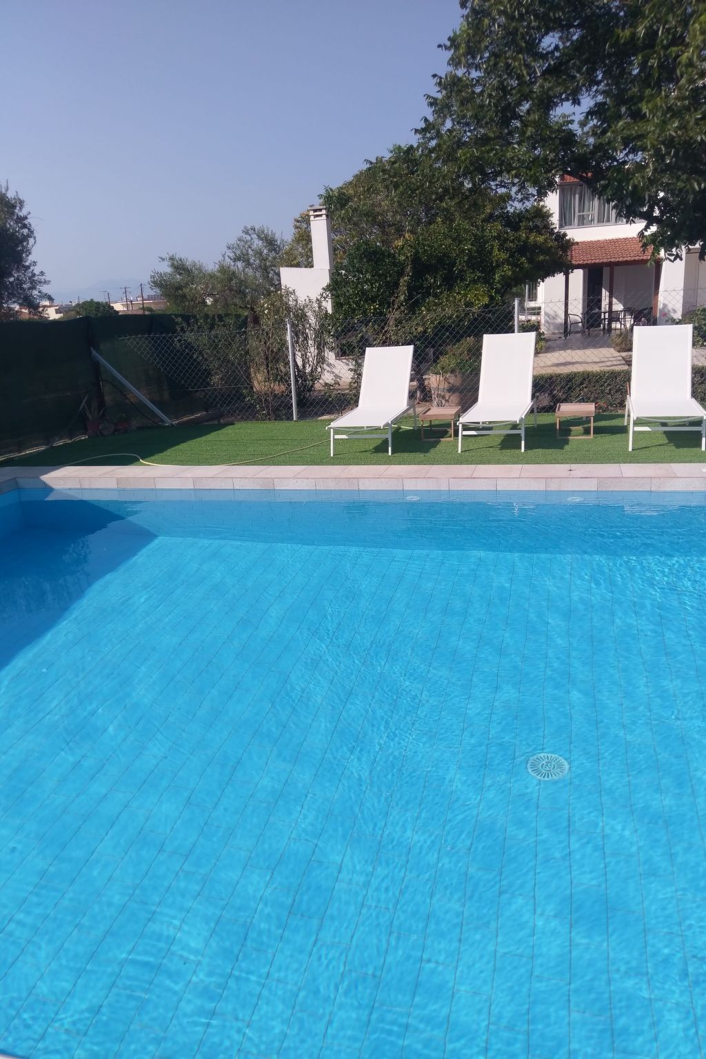 Neben Orangenbaum-Obstgarten-Binnen