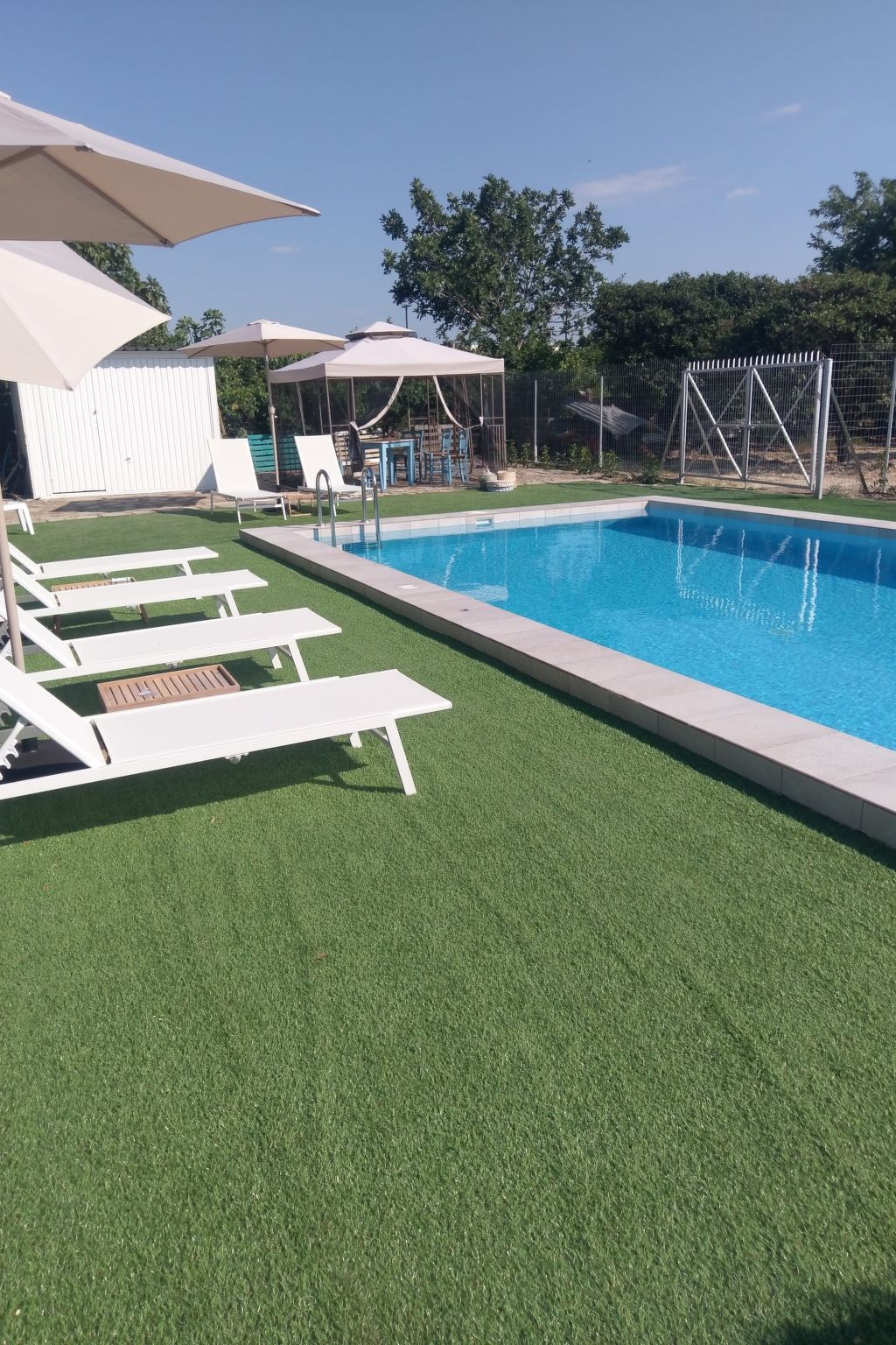 Neben Orangenbaum-Obstgarten-Binnen