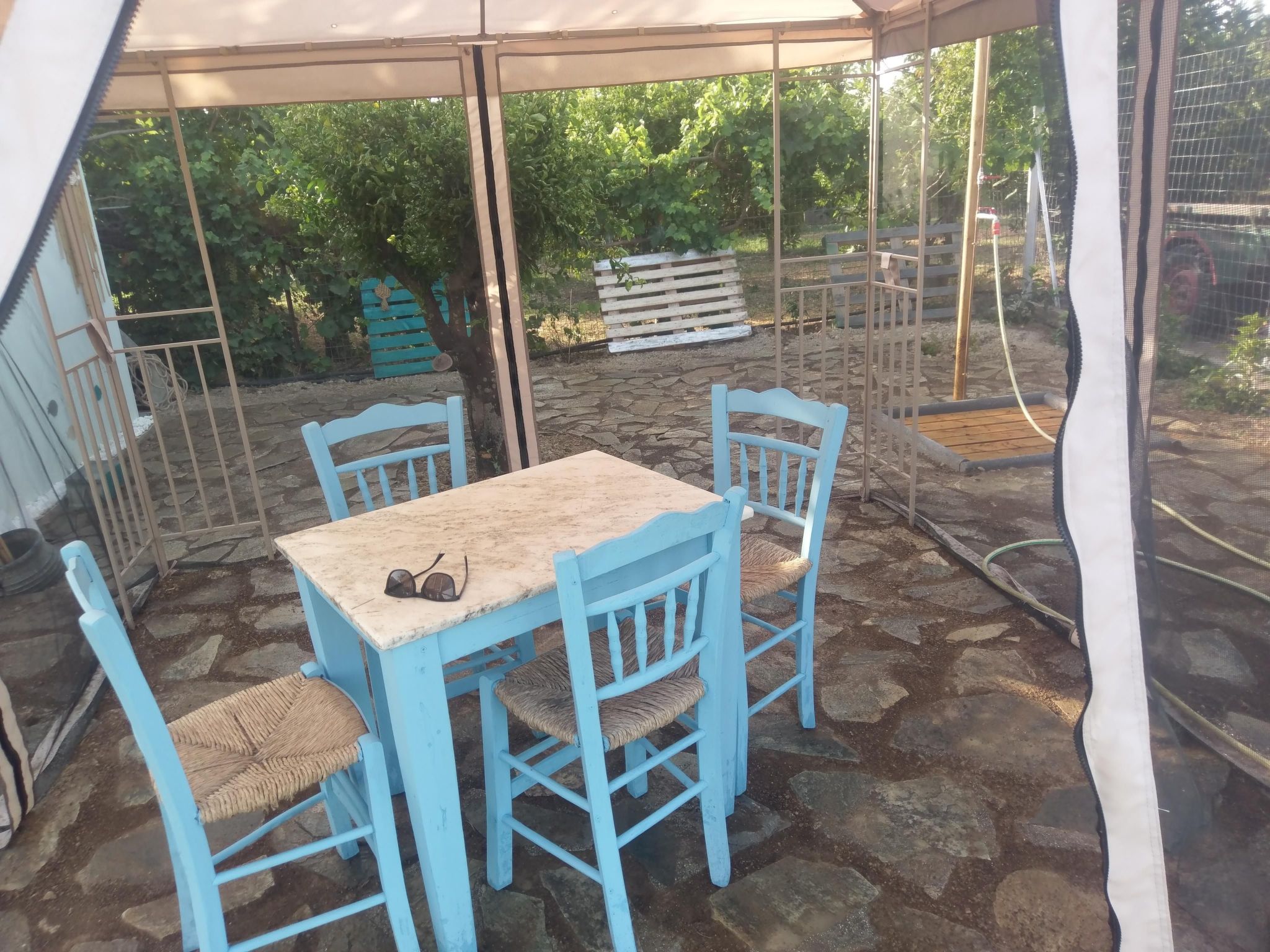 Neben Orangenbaum-Obstgarten-Binnen