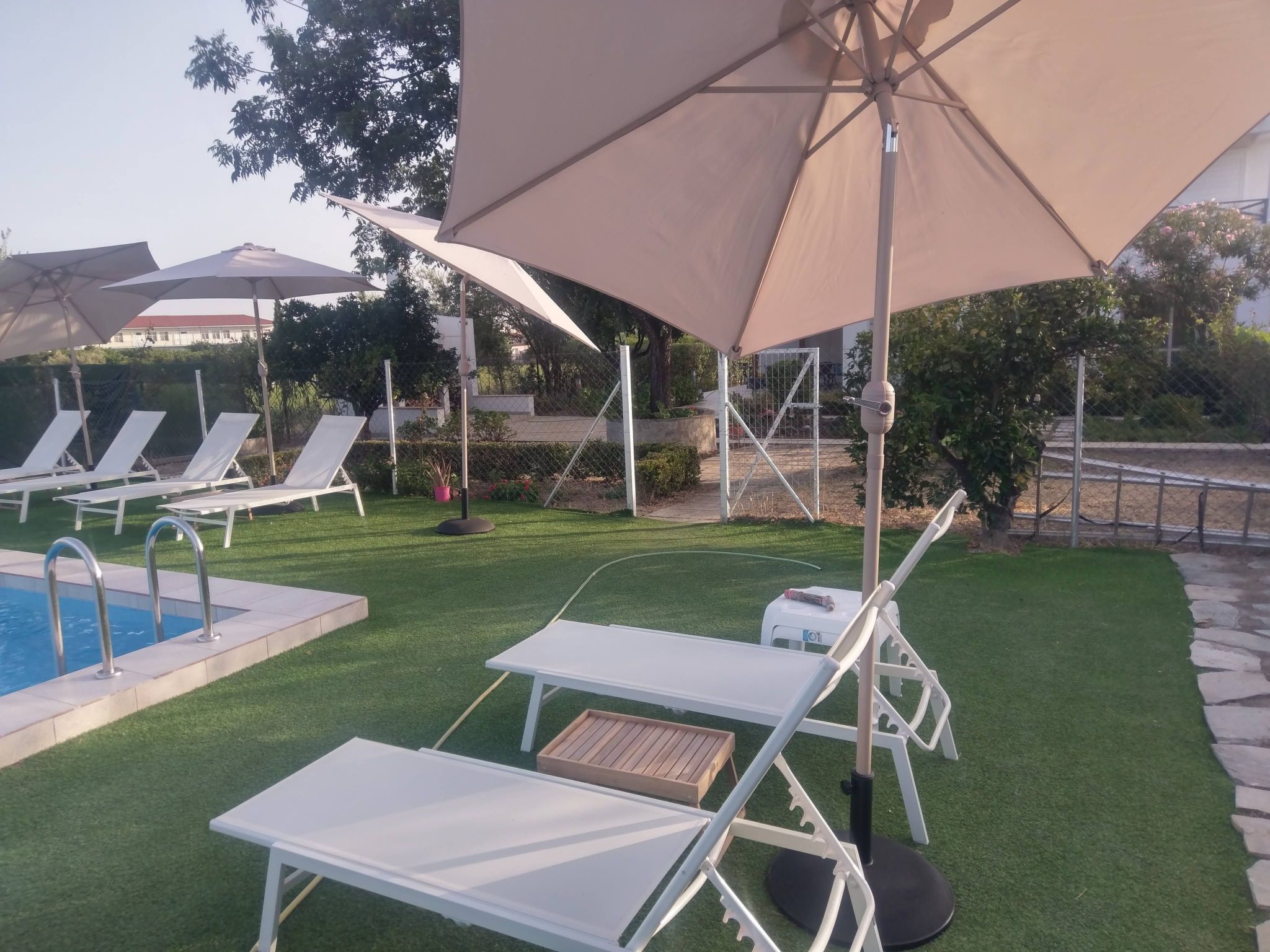 Neben Orangenbaum-Obstgarten-Binnen