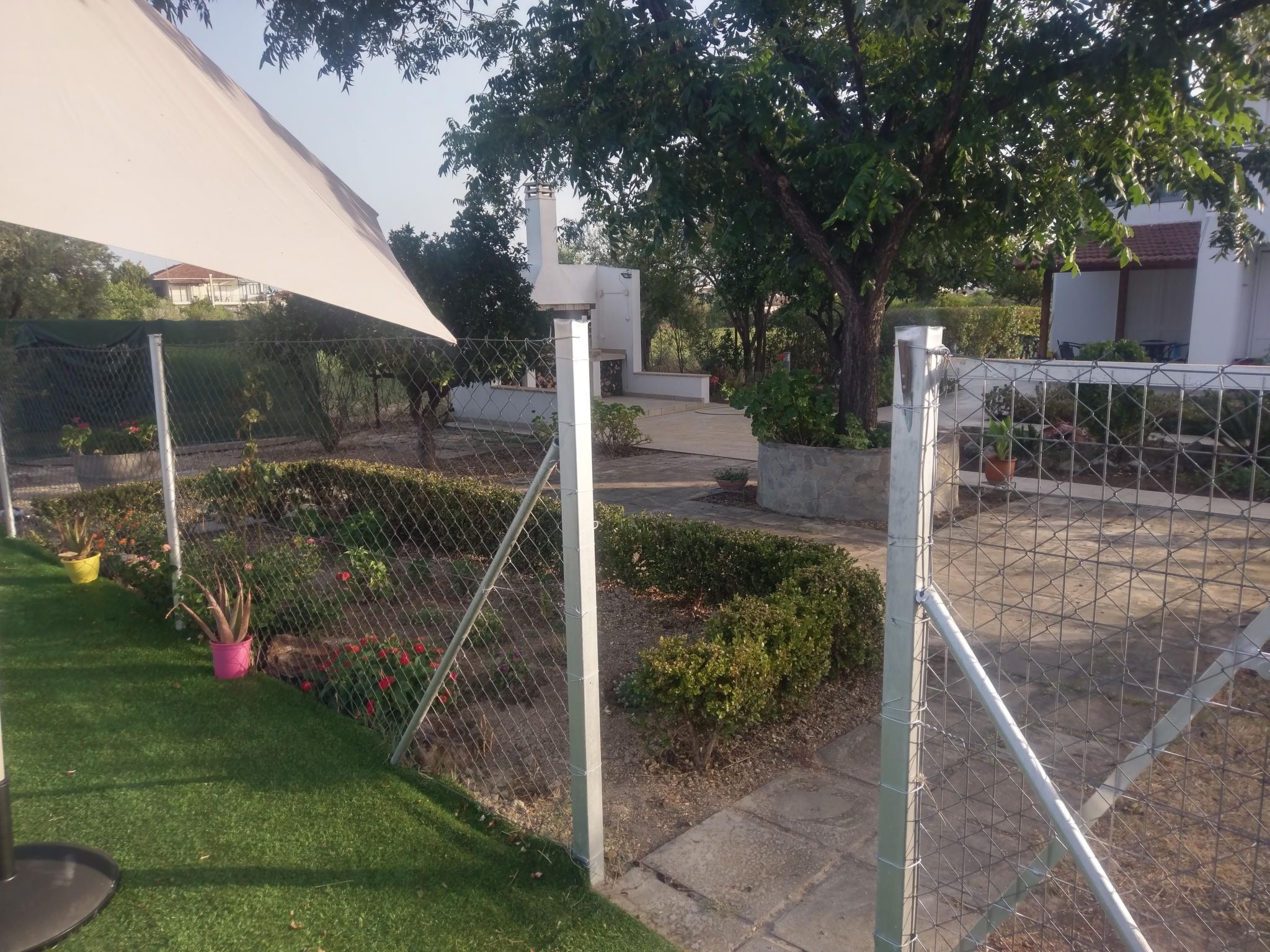 Neben Orangenbaum-Obstgarten-Binnen