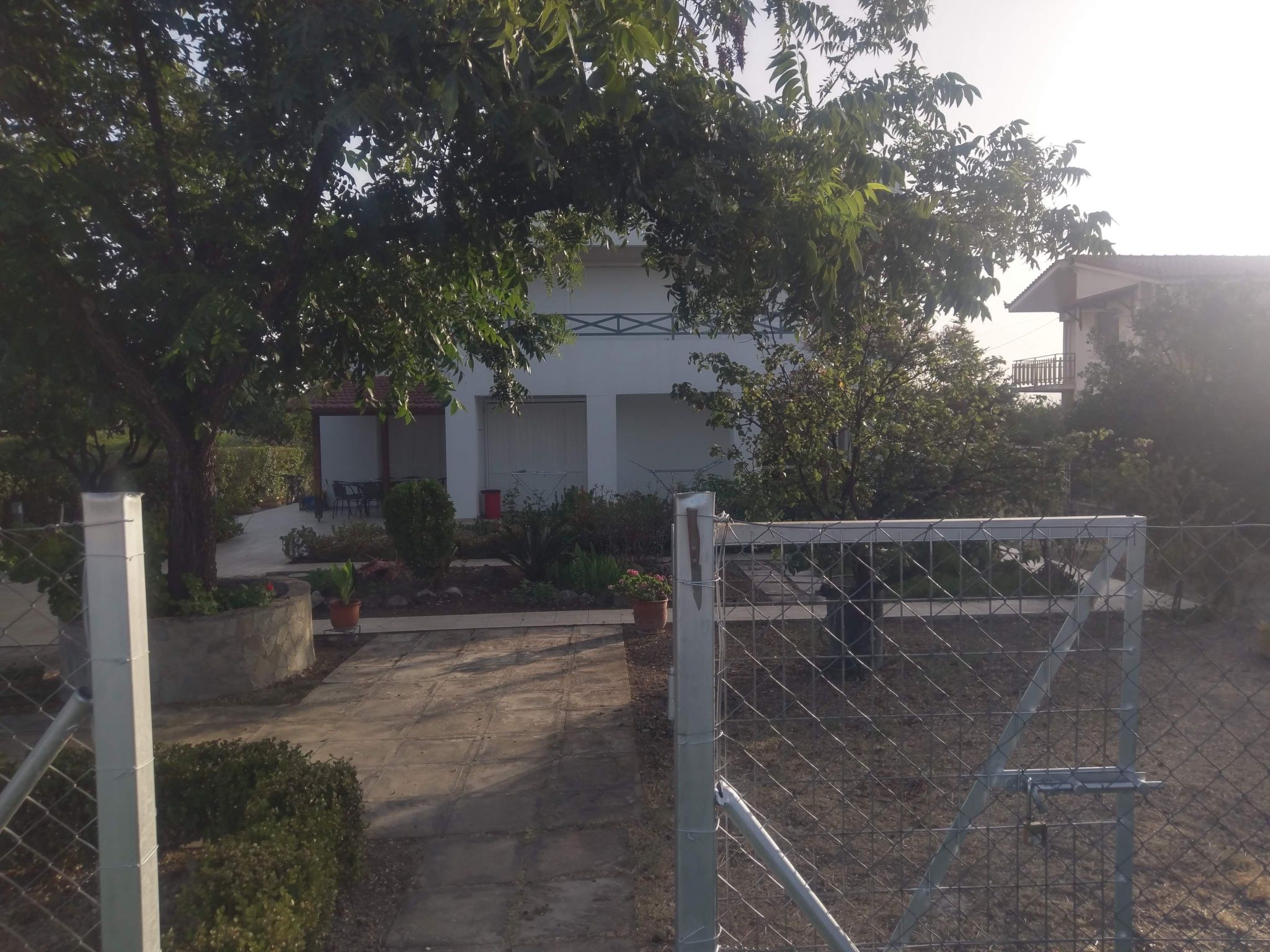 Neben Orangenbaum-Obstgarten-Binnen