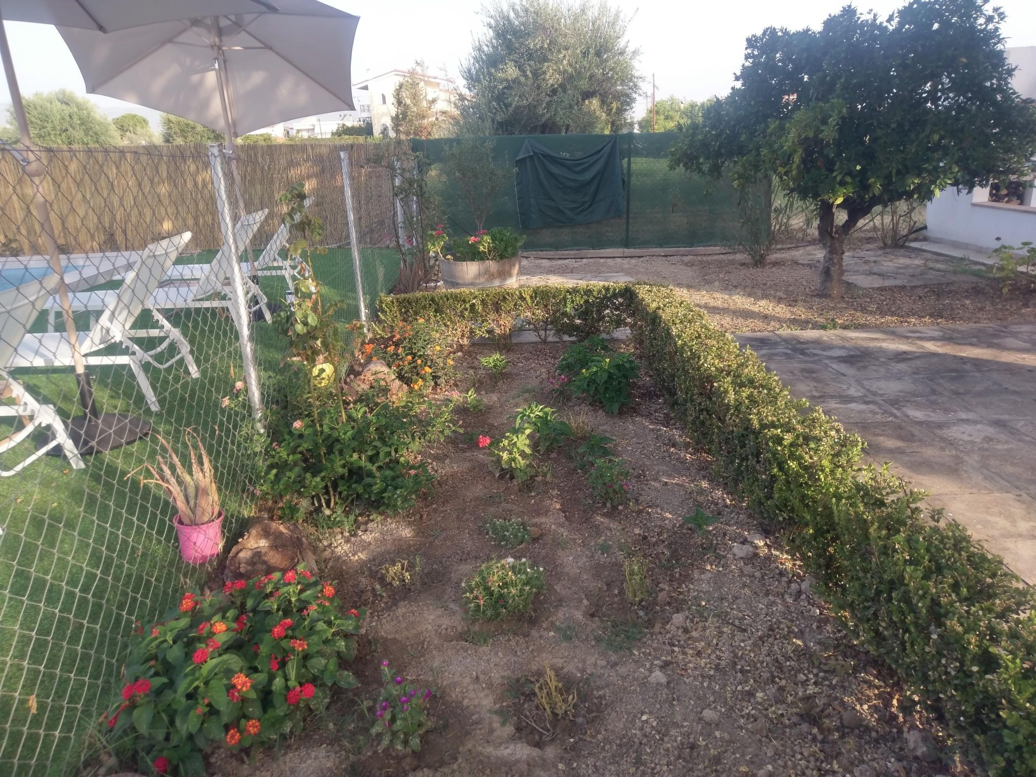 Neben Orangenbaum-Obstgarten-Binnen