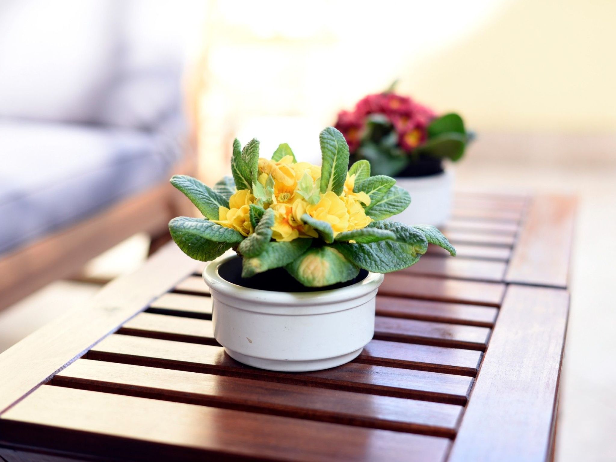 Wohnung in Zagreb mit großer Terrasse, neben dem Lotrščak-Turm-Image-tags.info