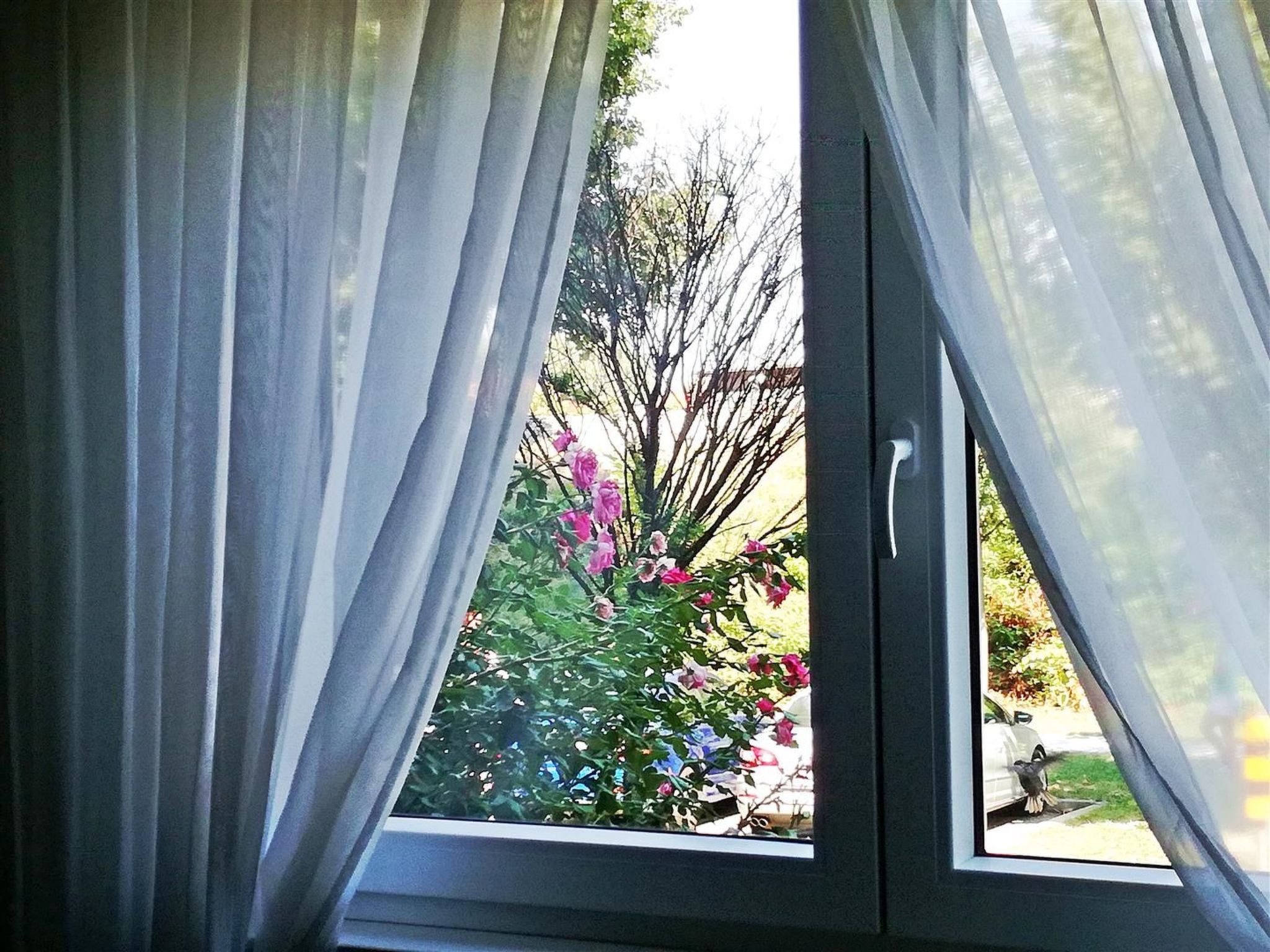 Schöne neu renovierte Wohnung in der Nähe des Zentrums-Inside