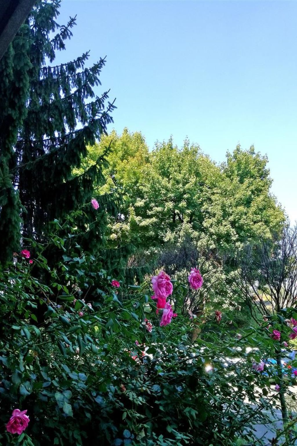 Schöne neu renovierte Wohnung in der Nähe des Zentrums-Image-tags.info