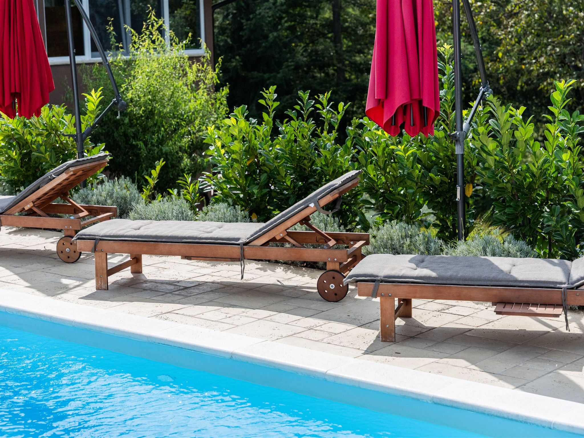 House ZEN — Pool Outdoor (4 of 39)