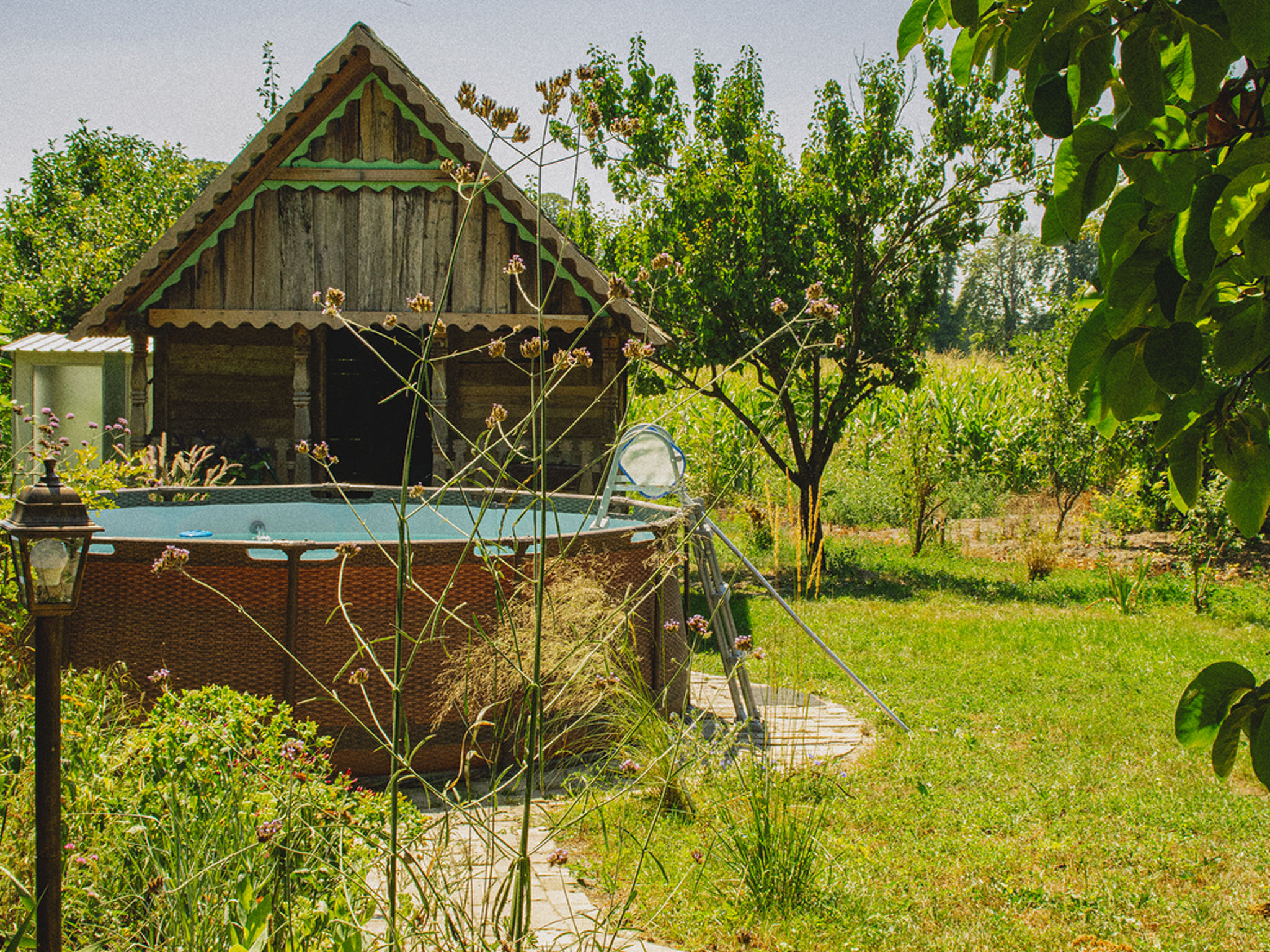 House Biljkinog oca — Pool Outdoor (2 of 40)