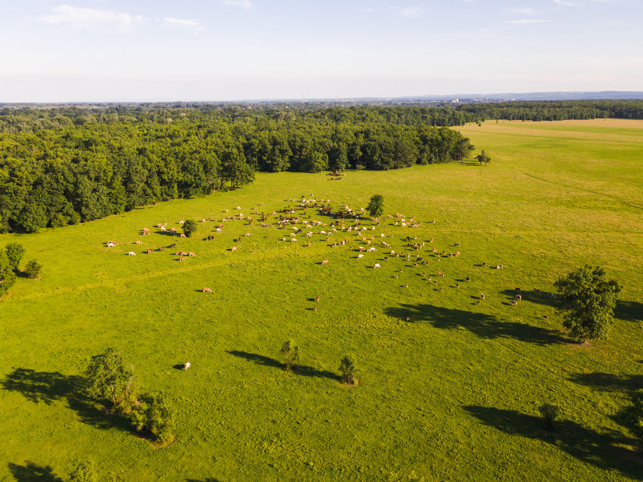 Zelena Oaza - Environnement