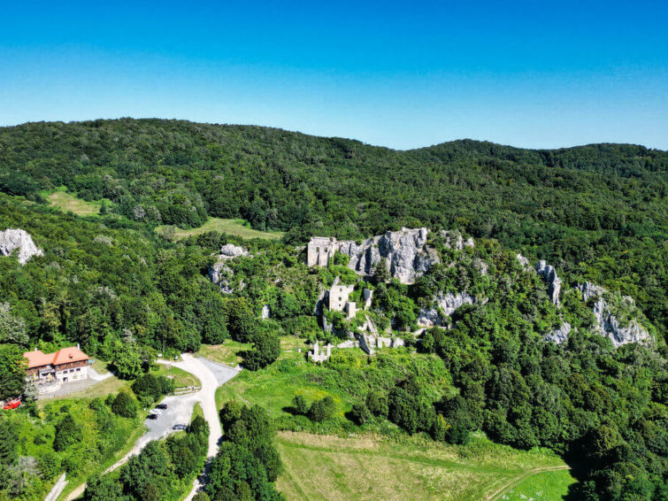 View