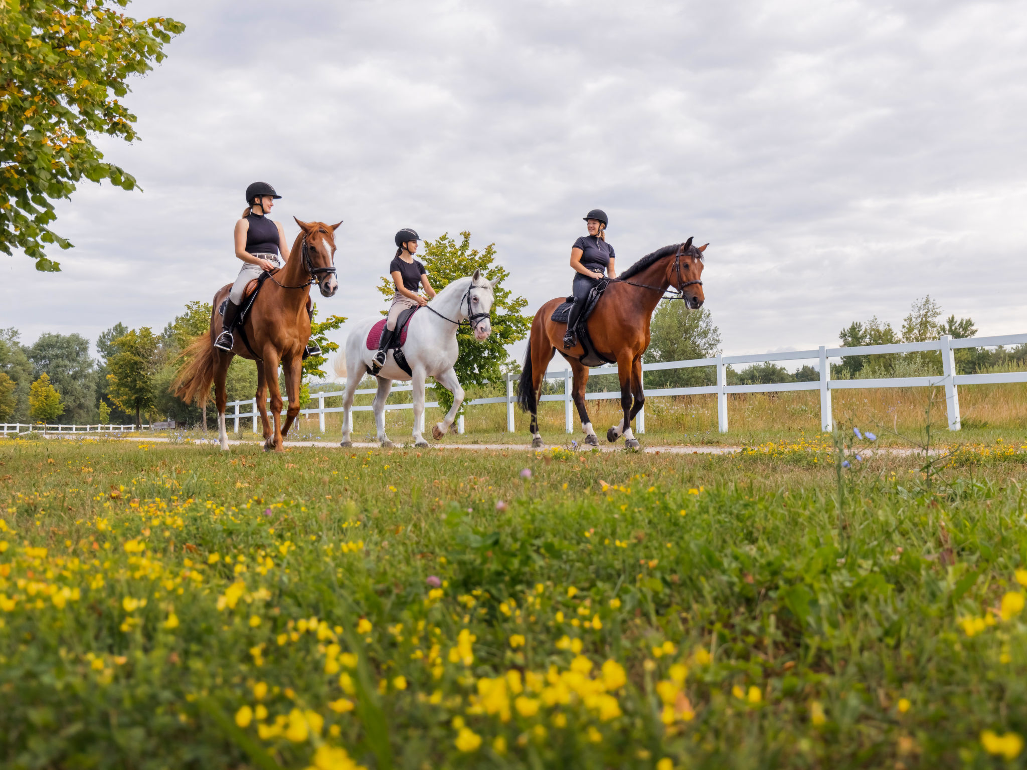 Vila Breg 1-Omgeving