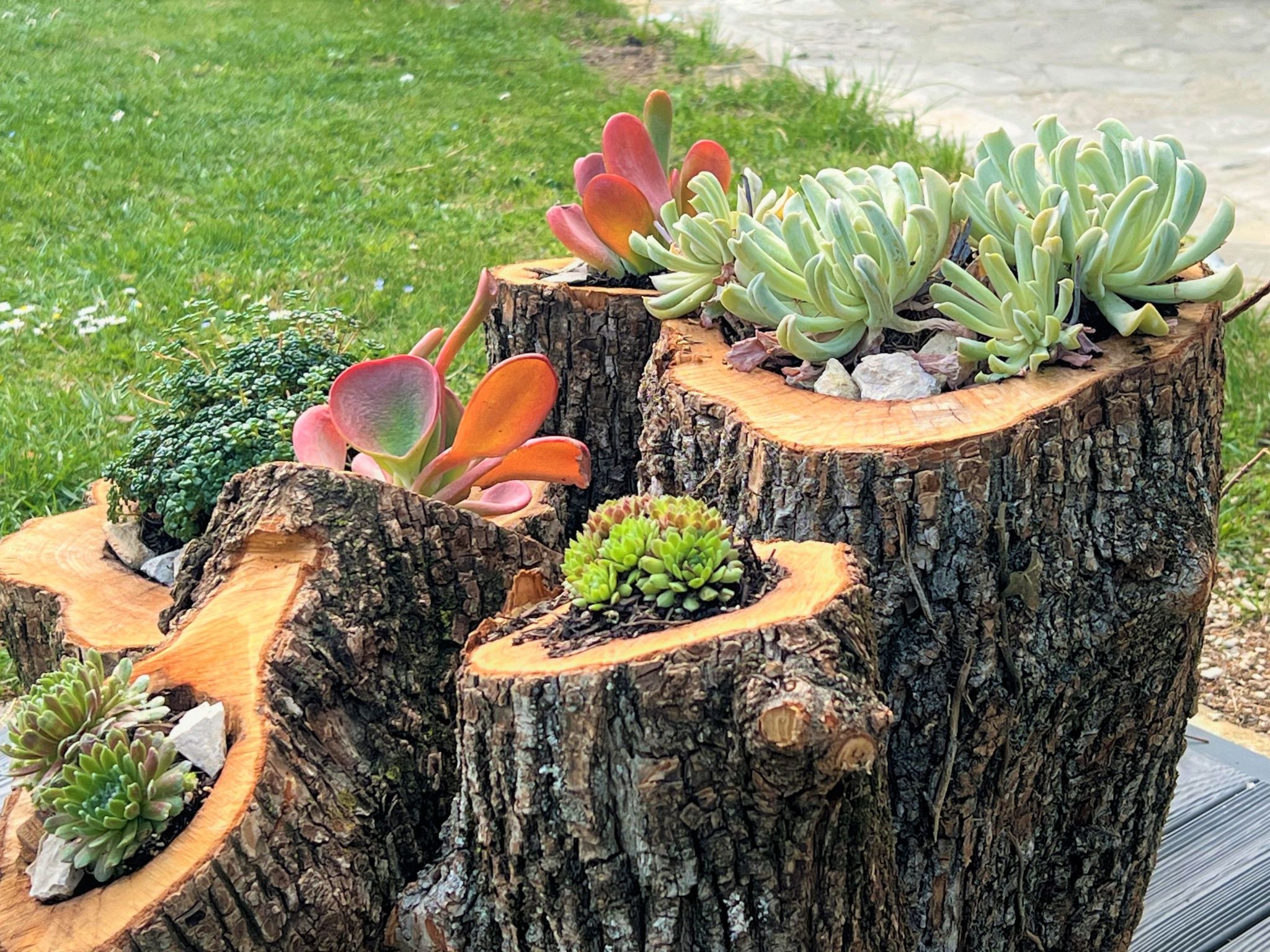 Mit privatem Pool-Dehors