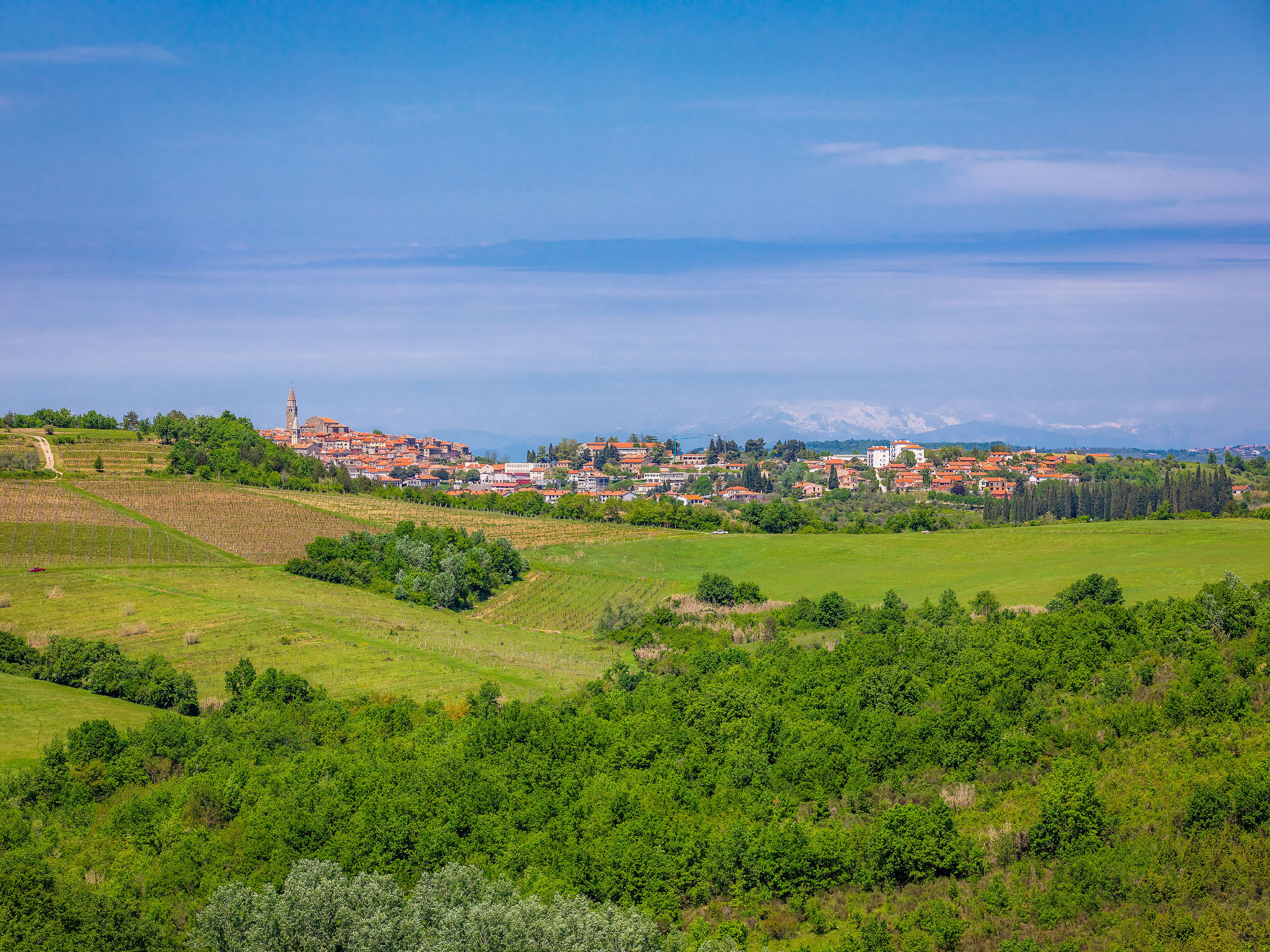 Villa La Vinella - Omgeving