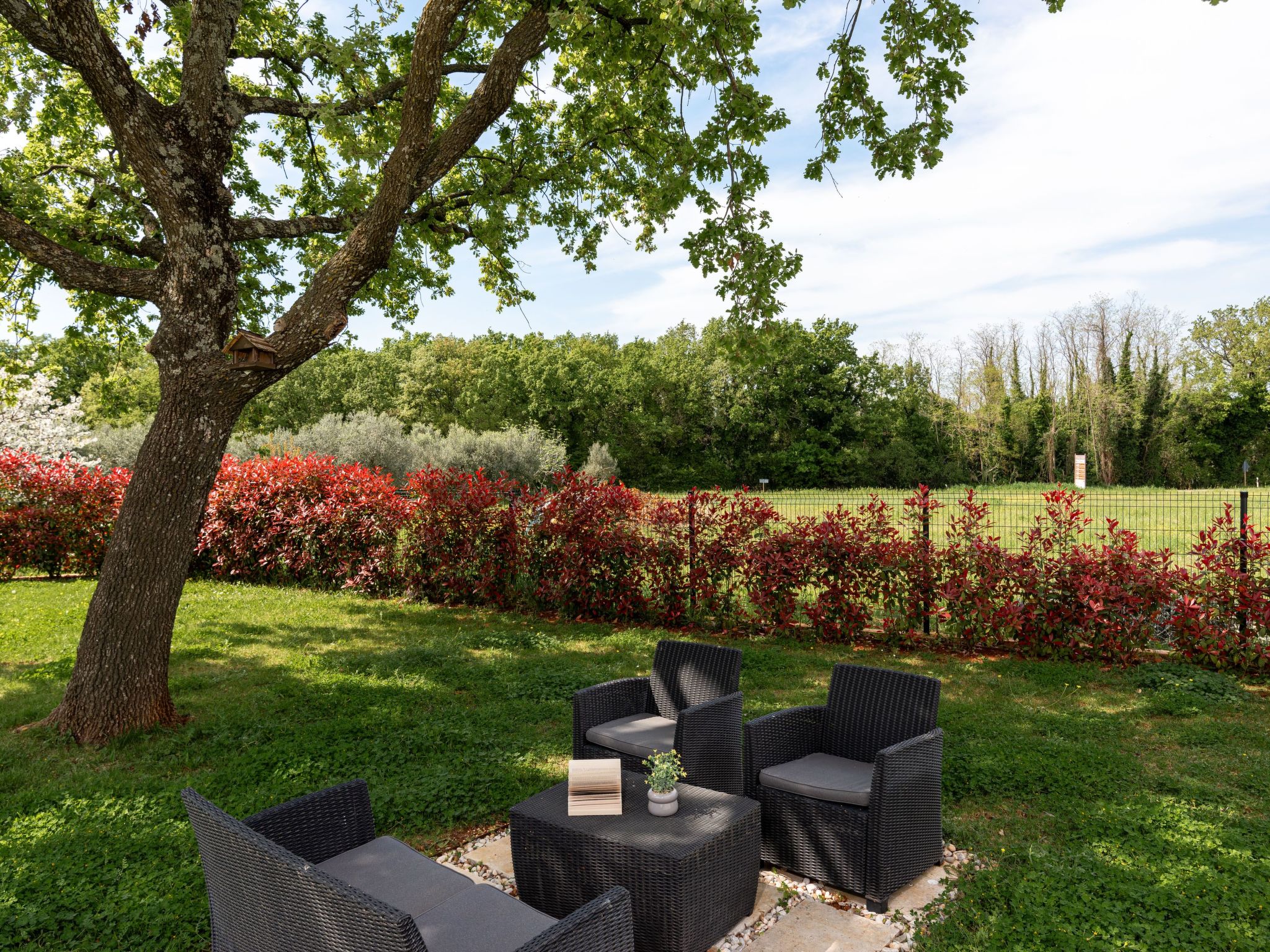 Villa Arancin-Dedans