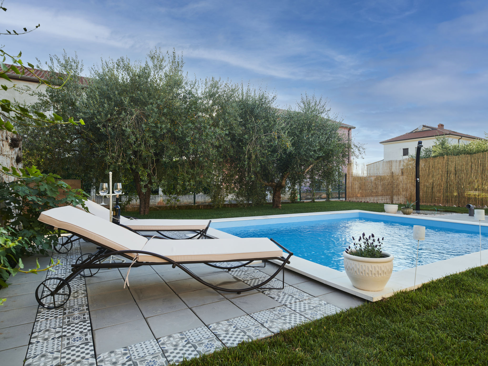 Photo of Mediterranea