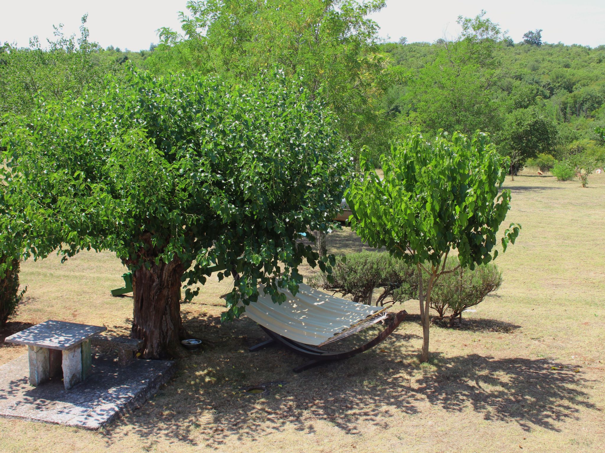 Das Haus im Wald-Inside