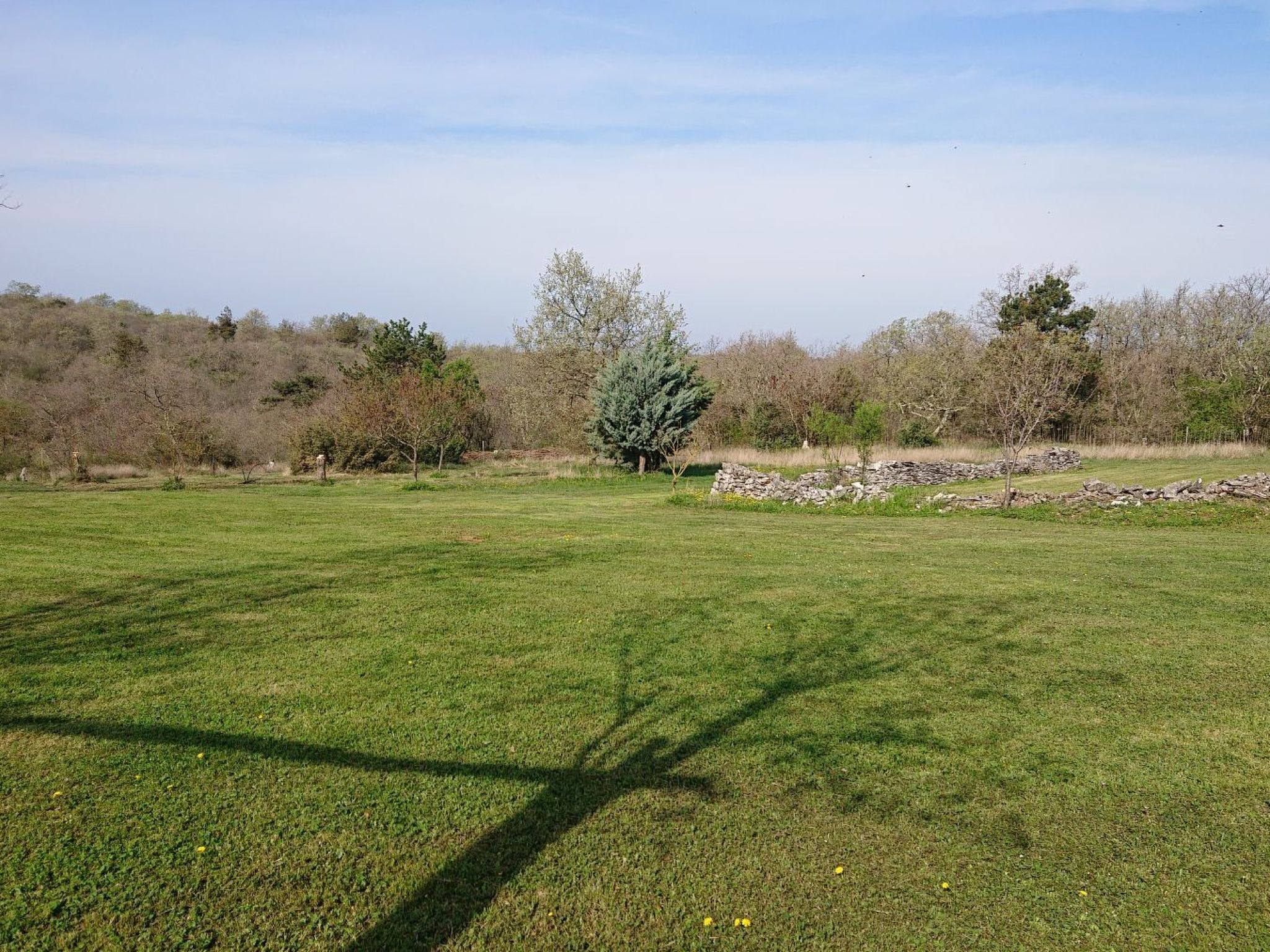 Das Haus im Wald-Inside