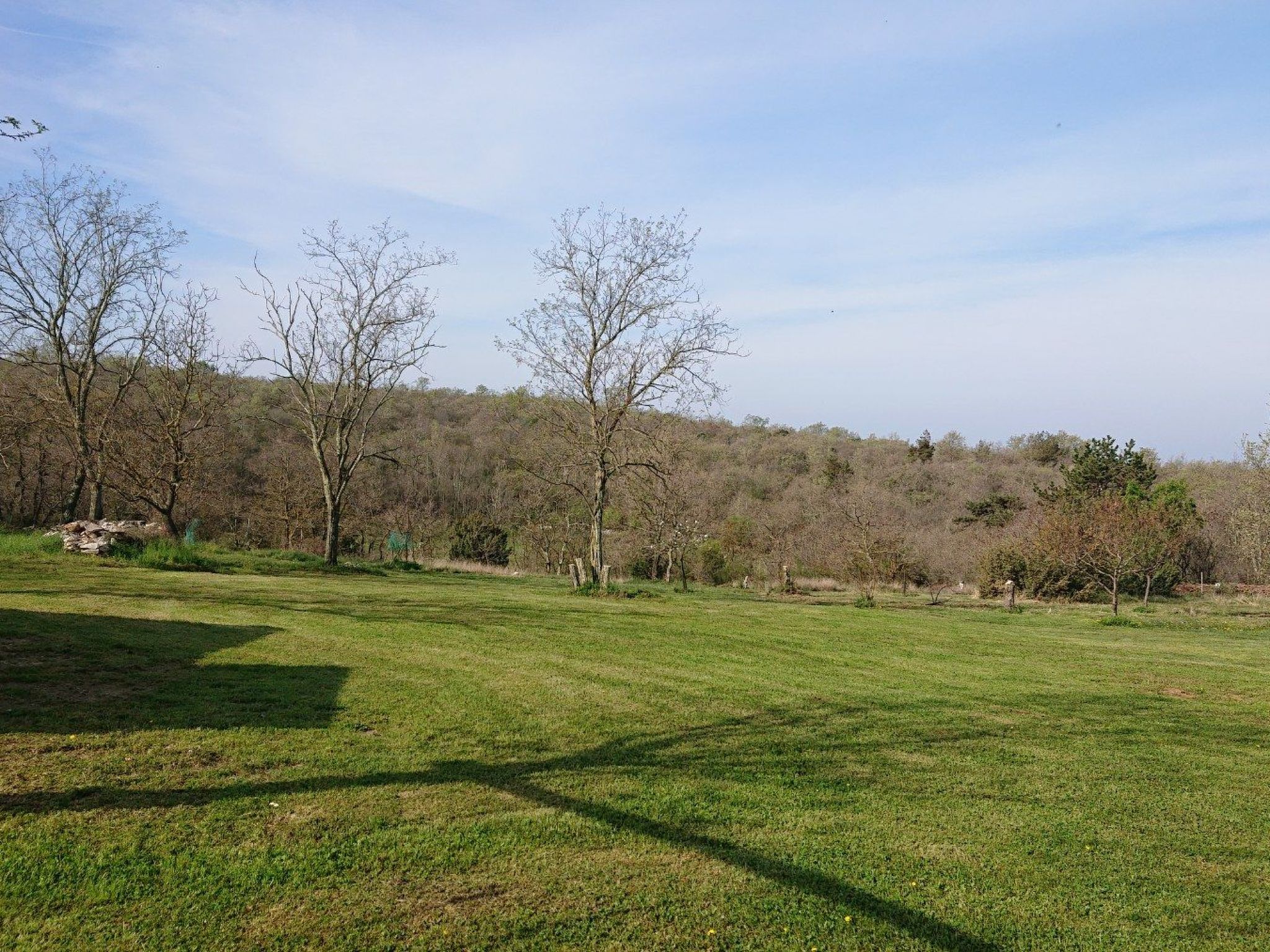Das Haus im Wald-Inside