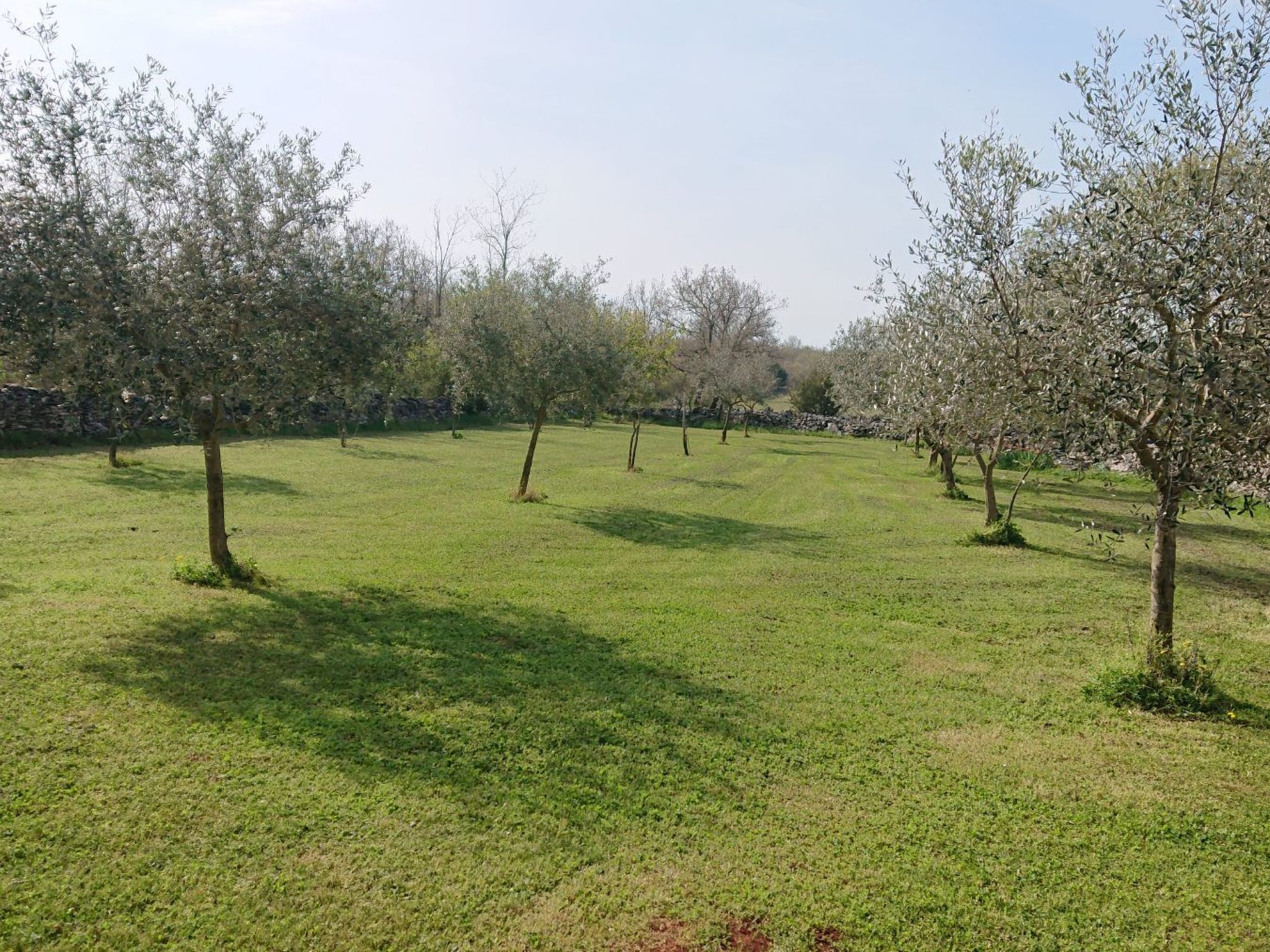 Das Haus im Wald-Inside