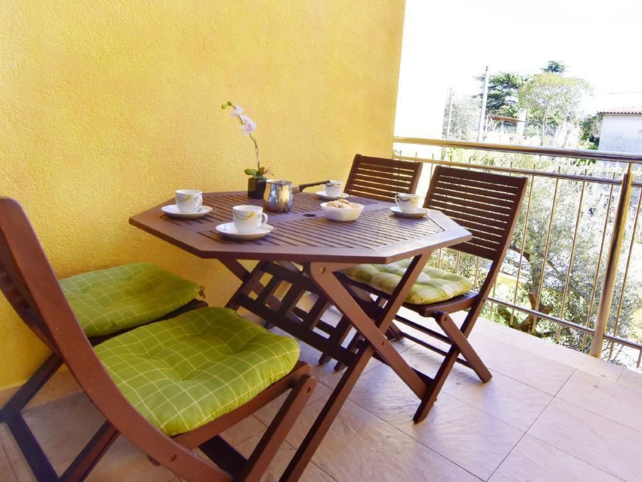 Alpa6-Image-tags.info