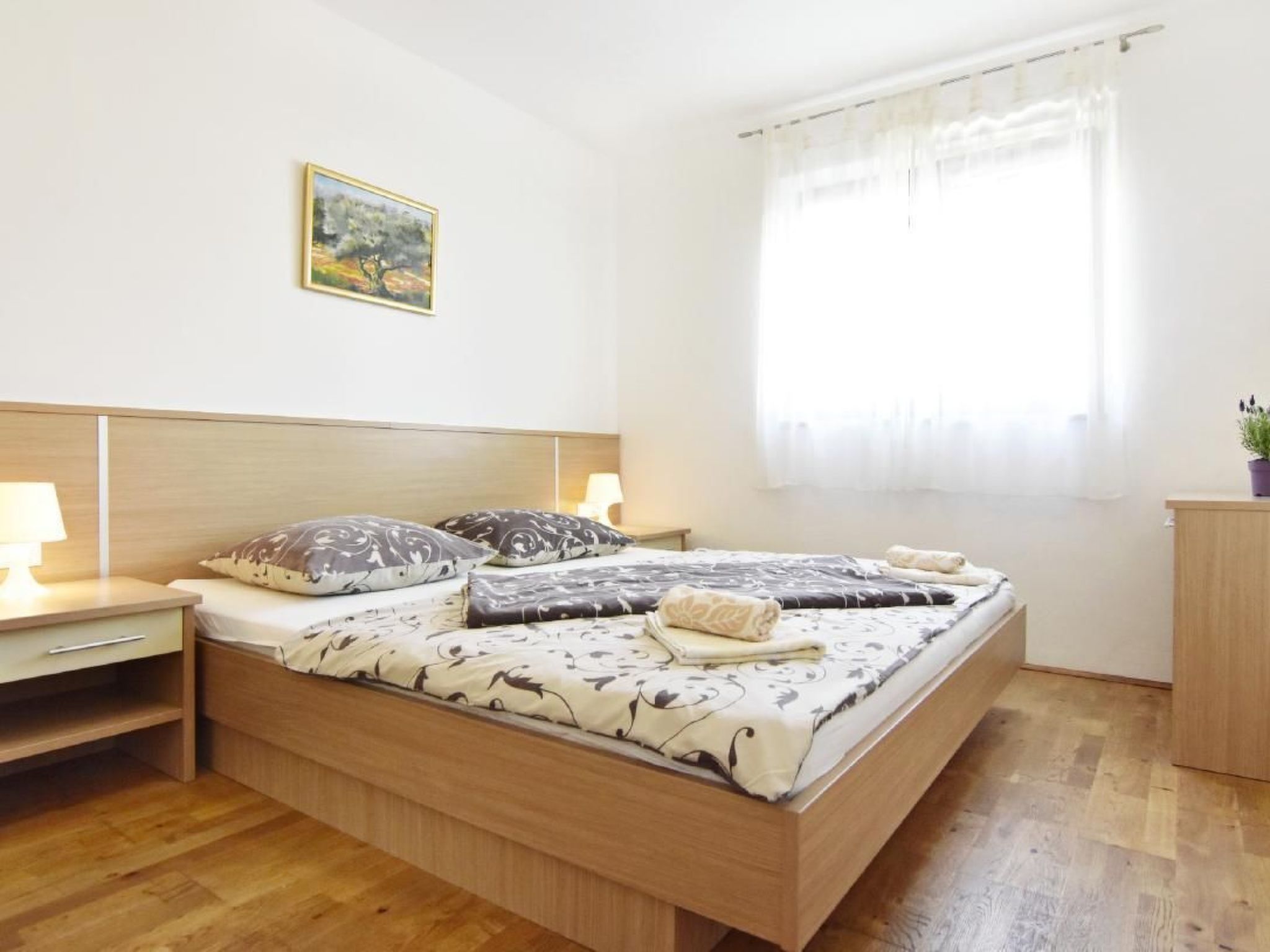 Alpa6-Image-tags.info