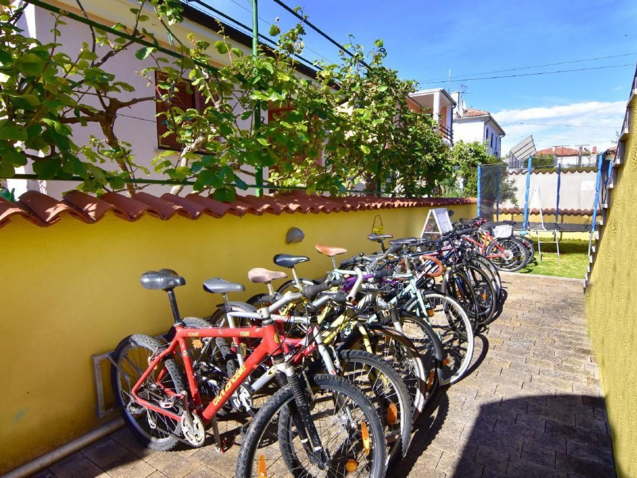 Alpa6-Image-tags.info