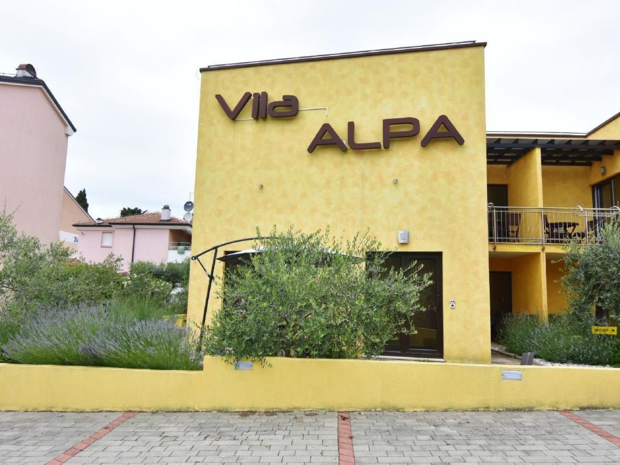 Alpa6-Image-tags.info