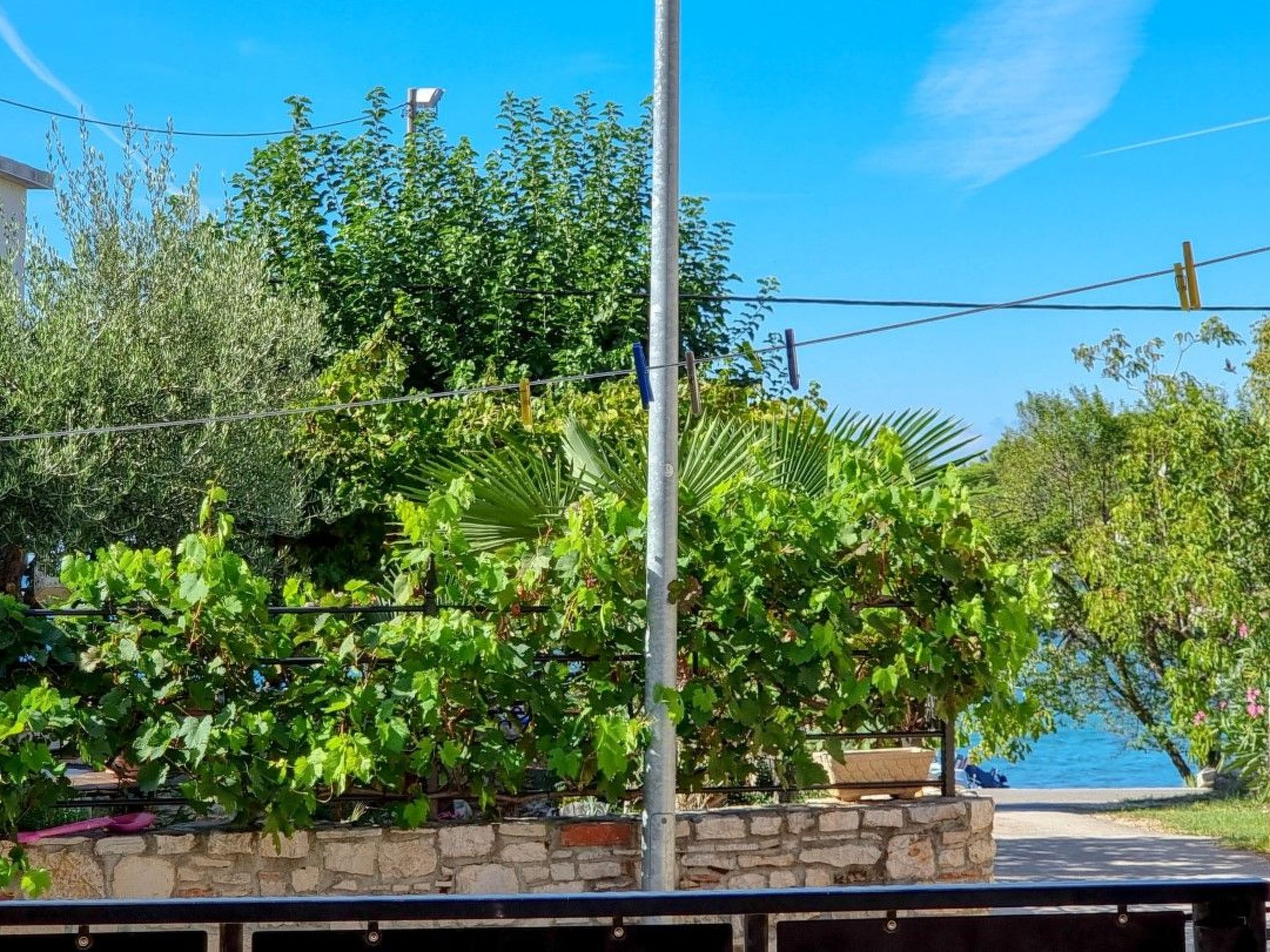 Photo of "Ivan" direkt am Strand